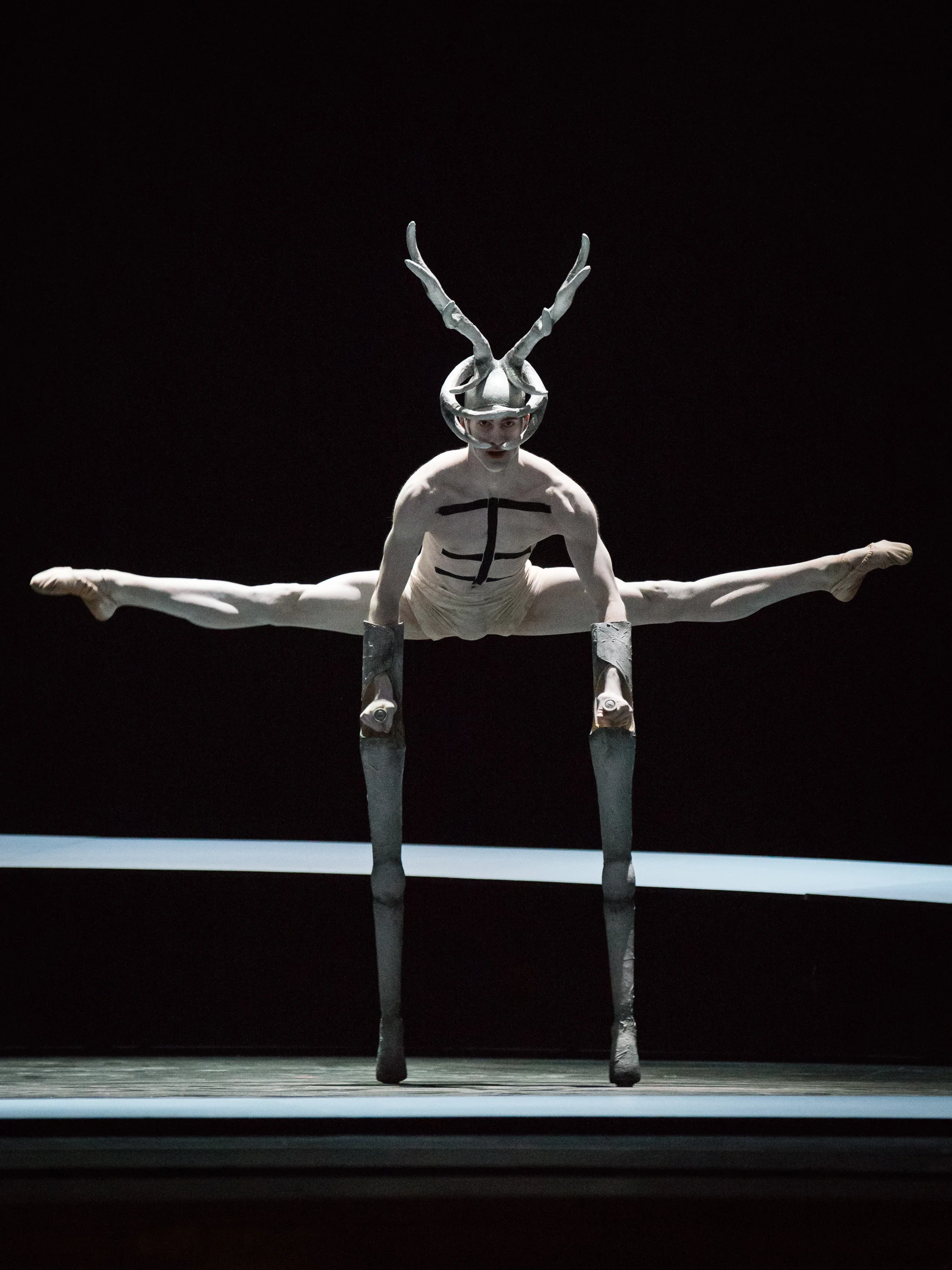 Copyright: Ashley Taylor / Vienna State Ballet