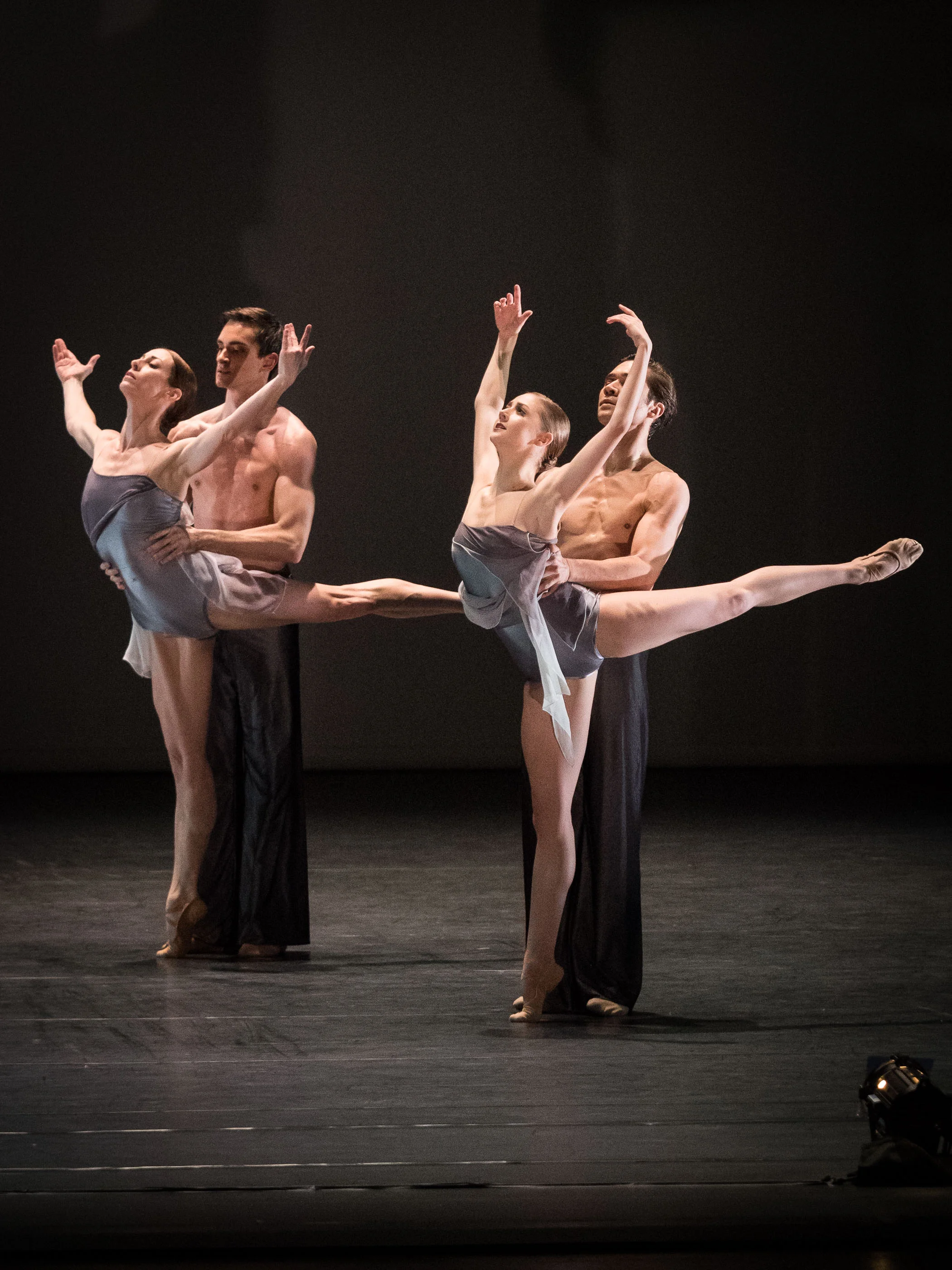 Copyright: Ashley Taylor / Vienna State Ballet