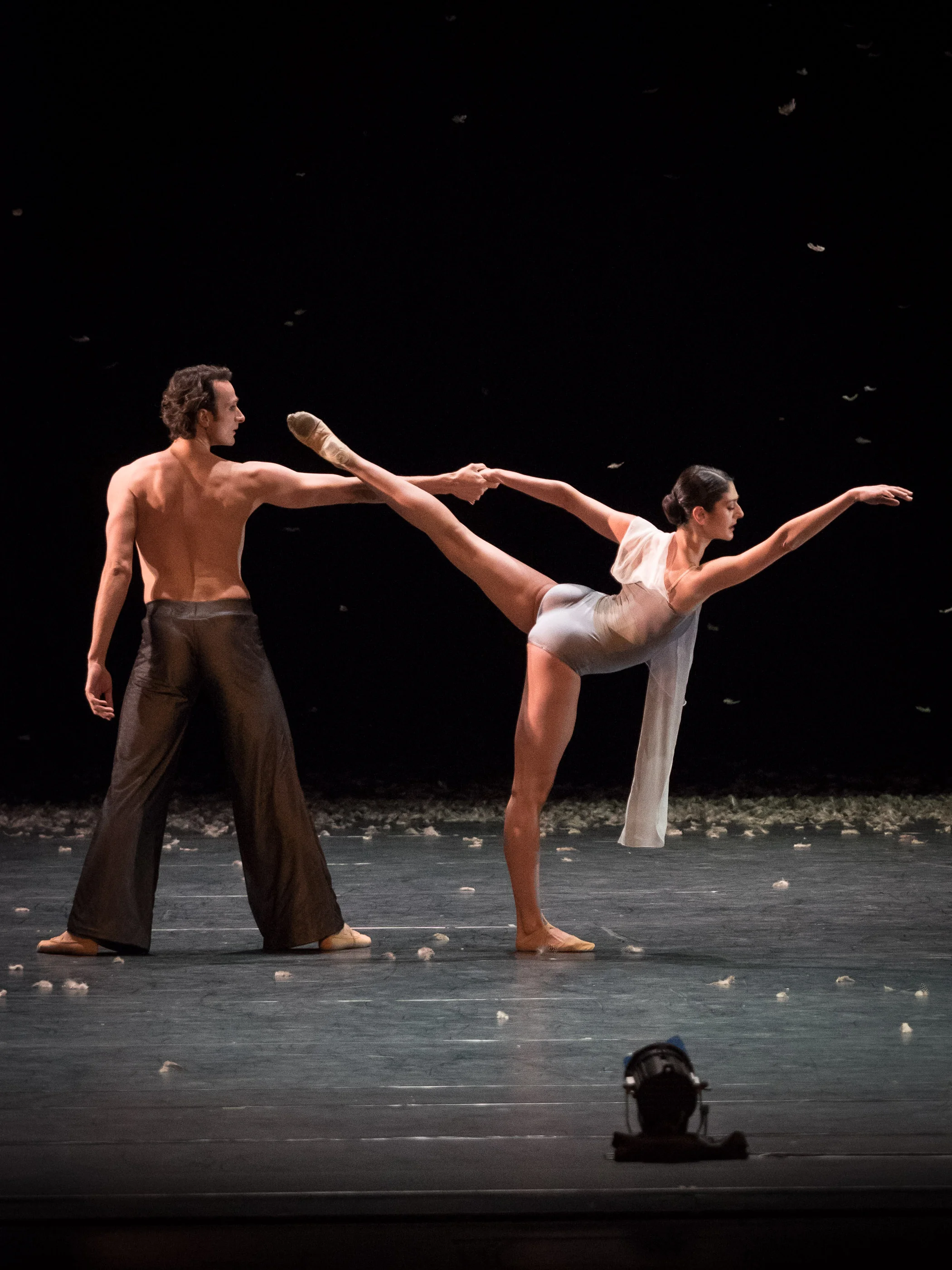 Copyright: Ashley Taylor / Vienna State Ballet