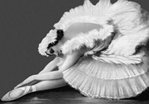 Pavlova - The dying Swan