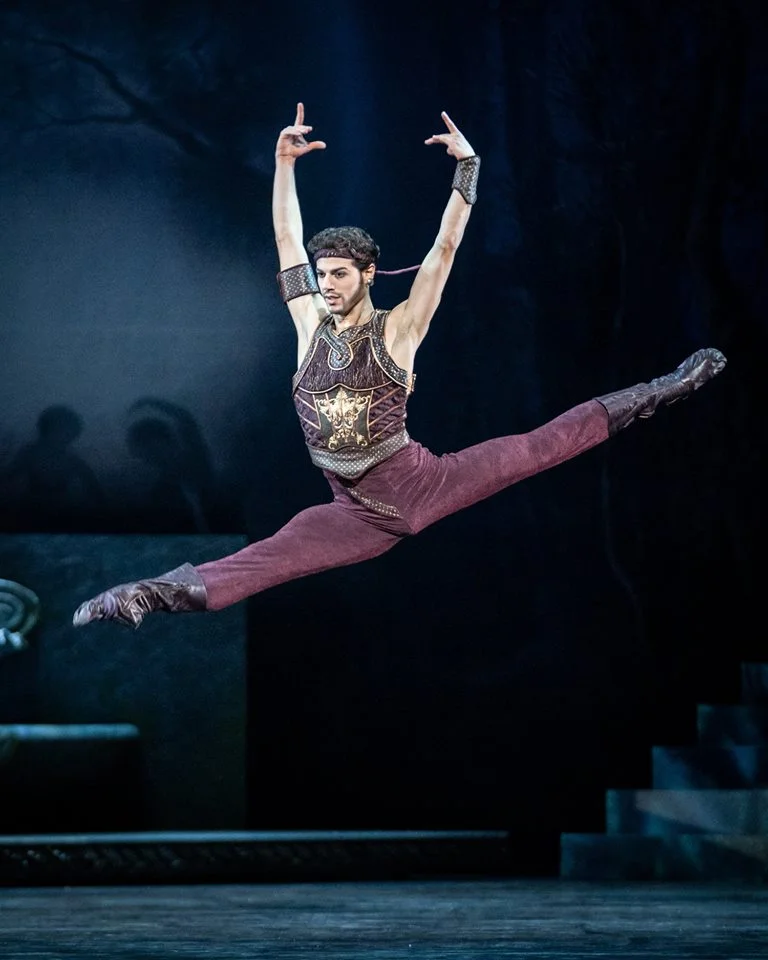 Copyright: Vienna State Ballet / Ashley Taylor