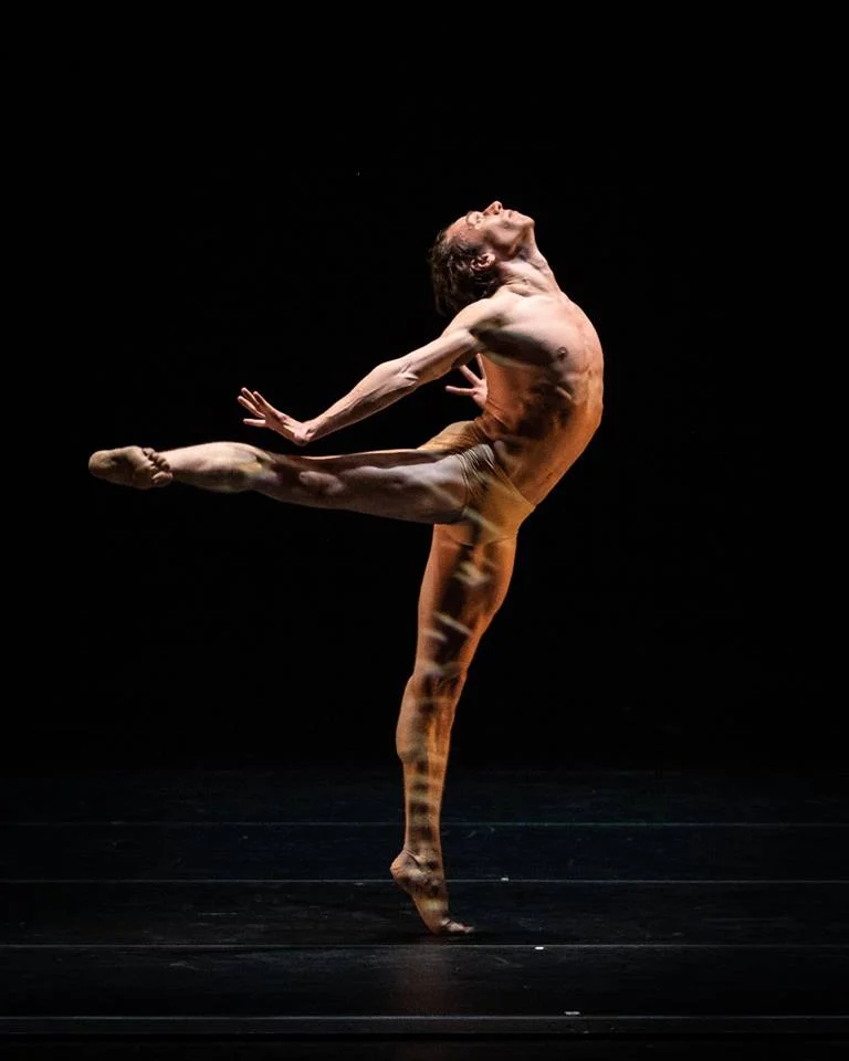Copyright: Vienna State Ballet / Ashley Taylor