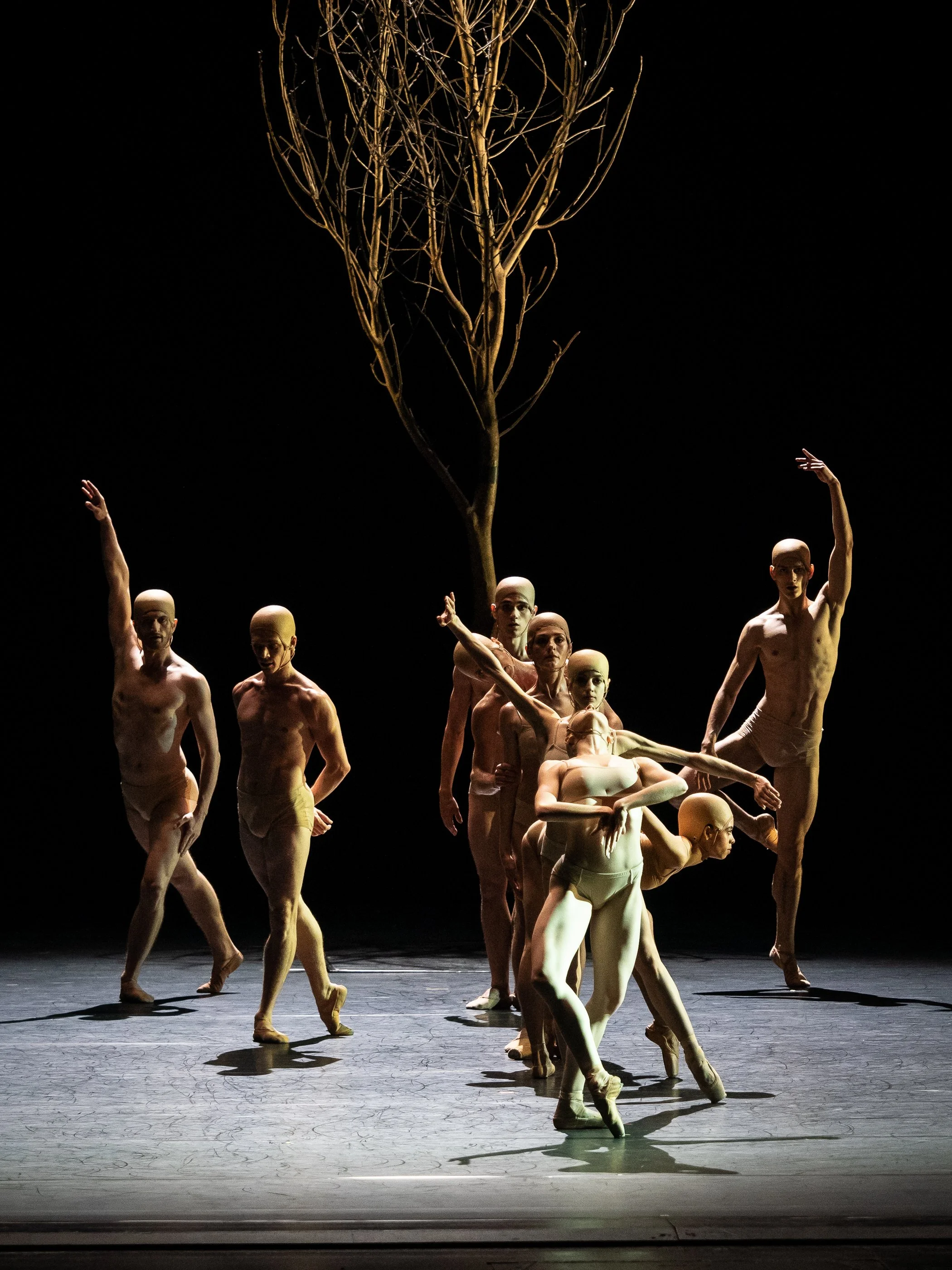 Copyright: Ashley Taylor / Vienna State Ballet