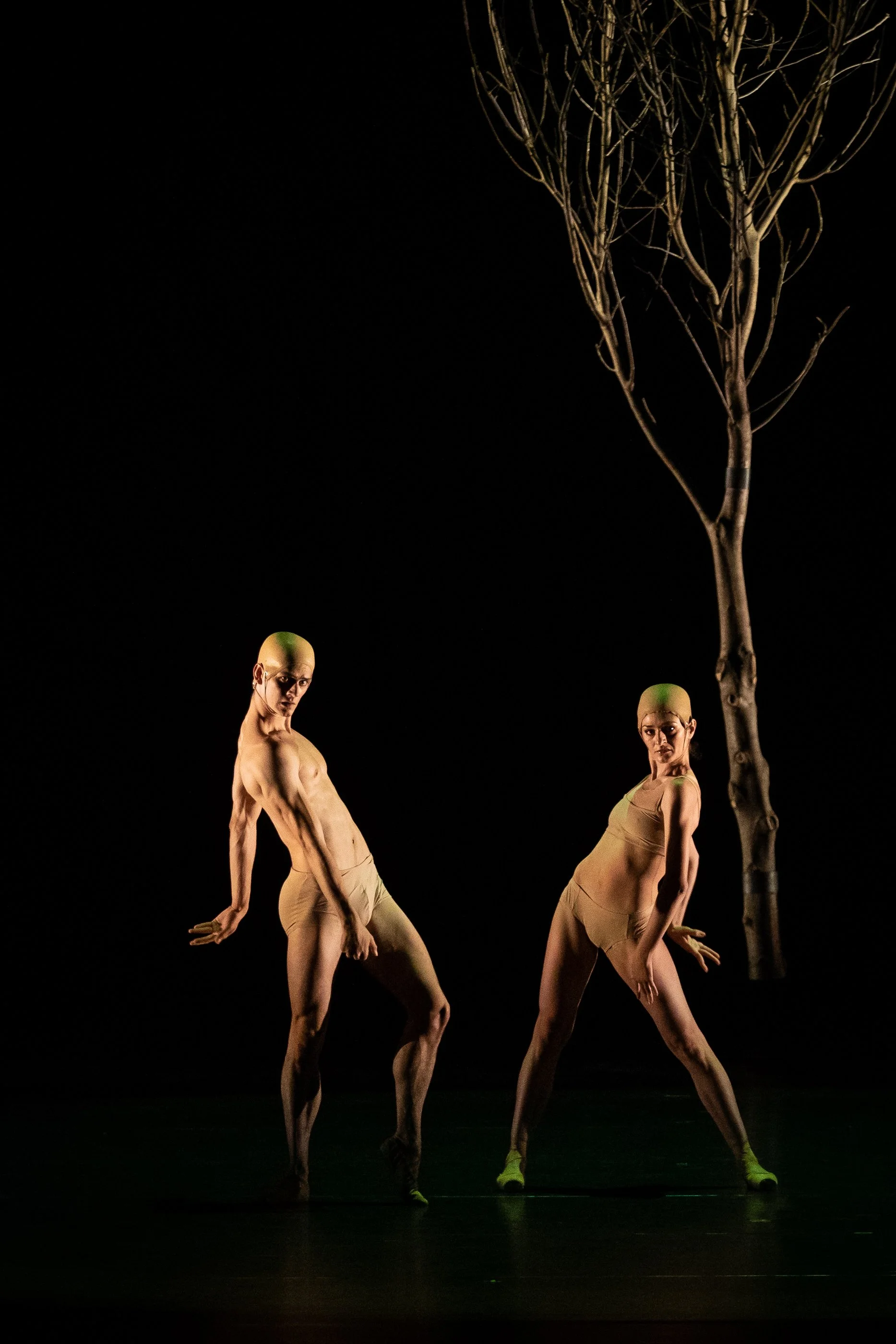 Copyright: Ashley Taylor / Vienna State Ballet