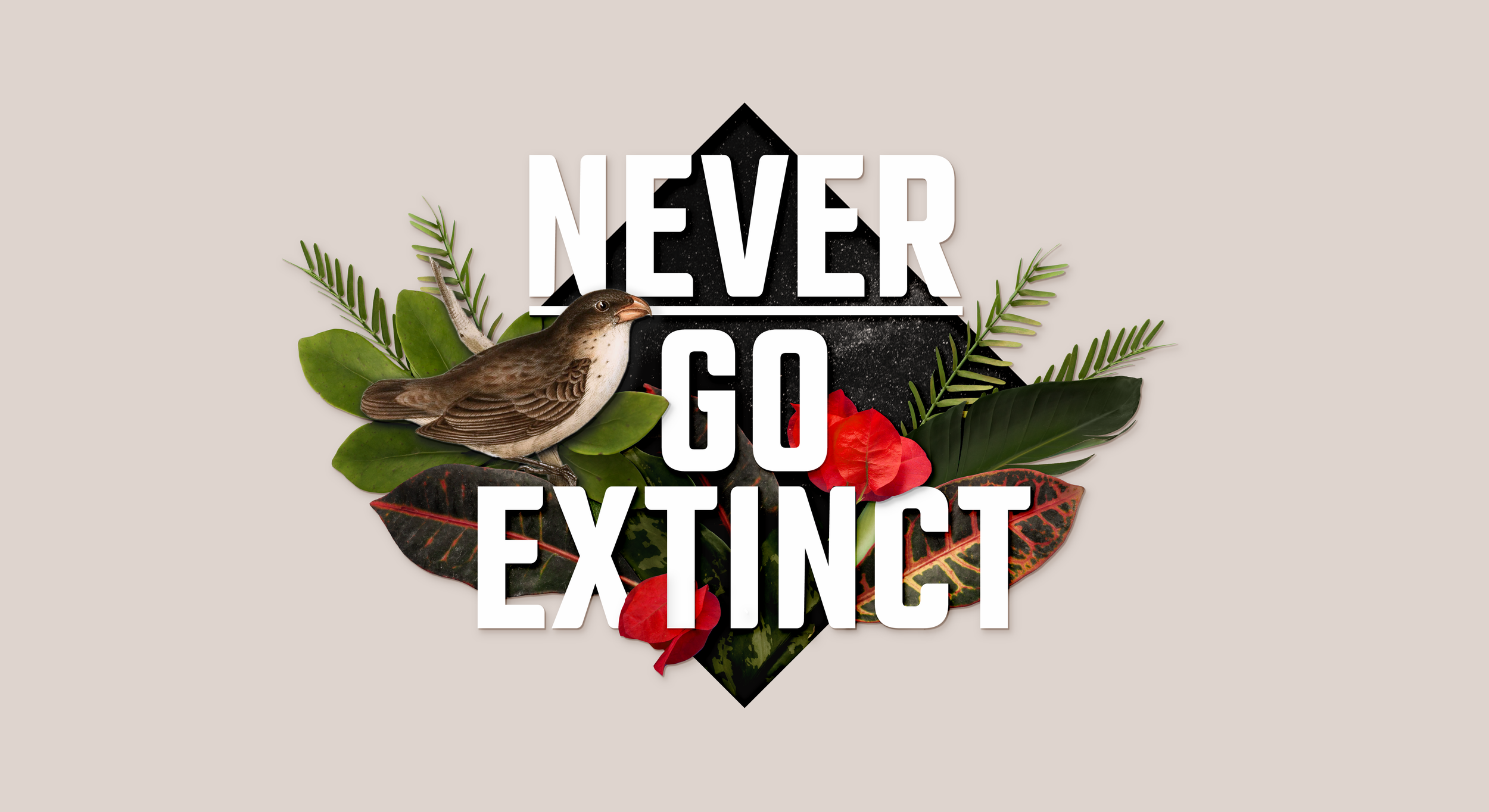 NeverGoExtinct_Collage_2018_Web_finallong.png