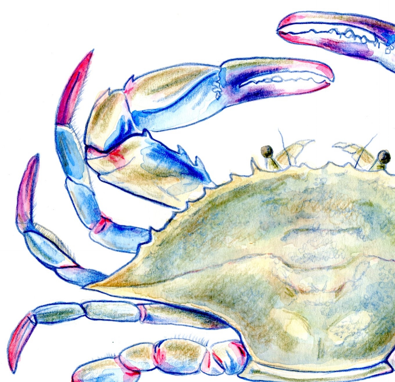 blue crab painting.jpg