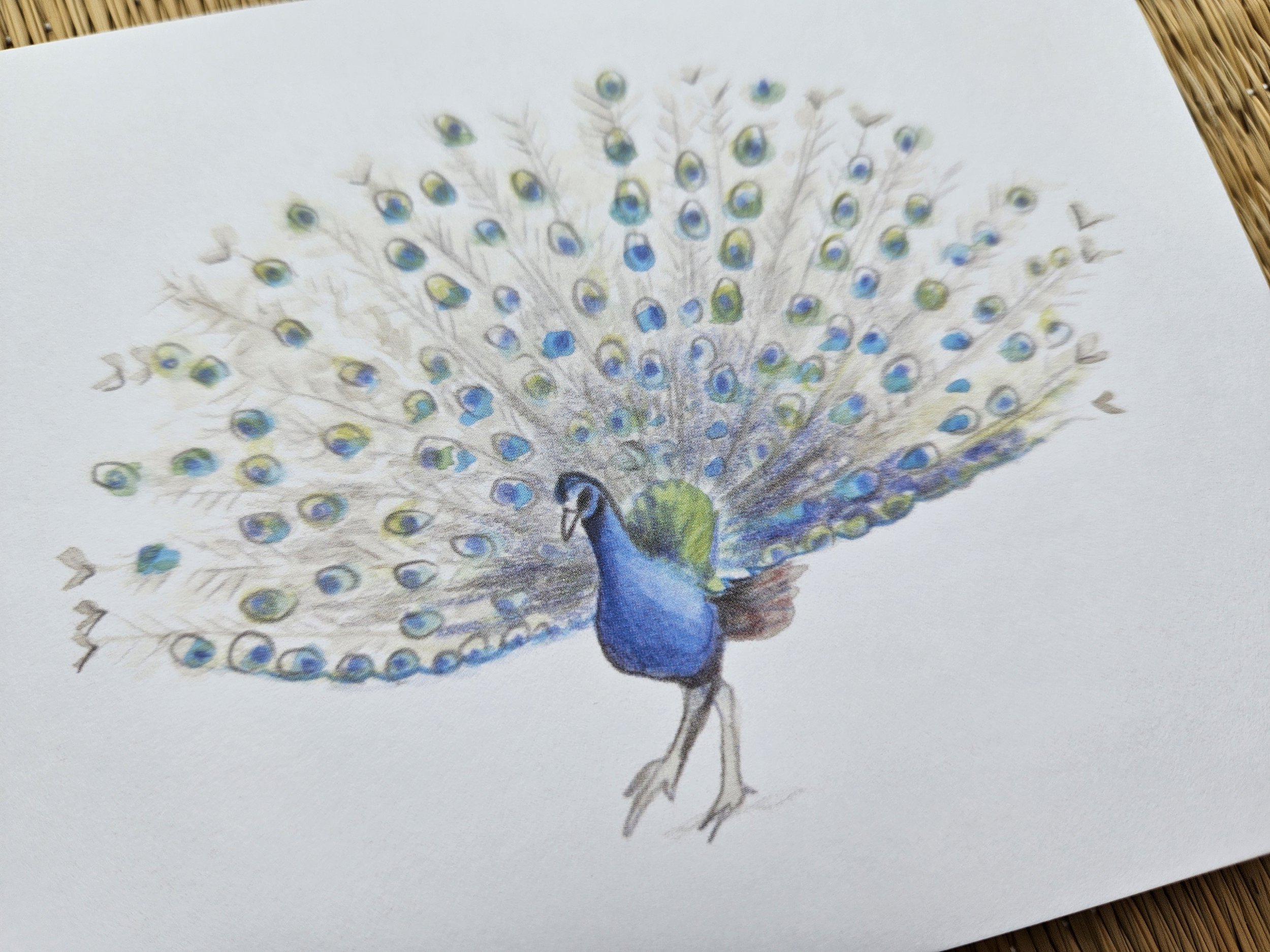 peacock card.jpg