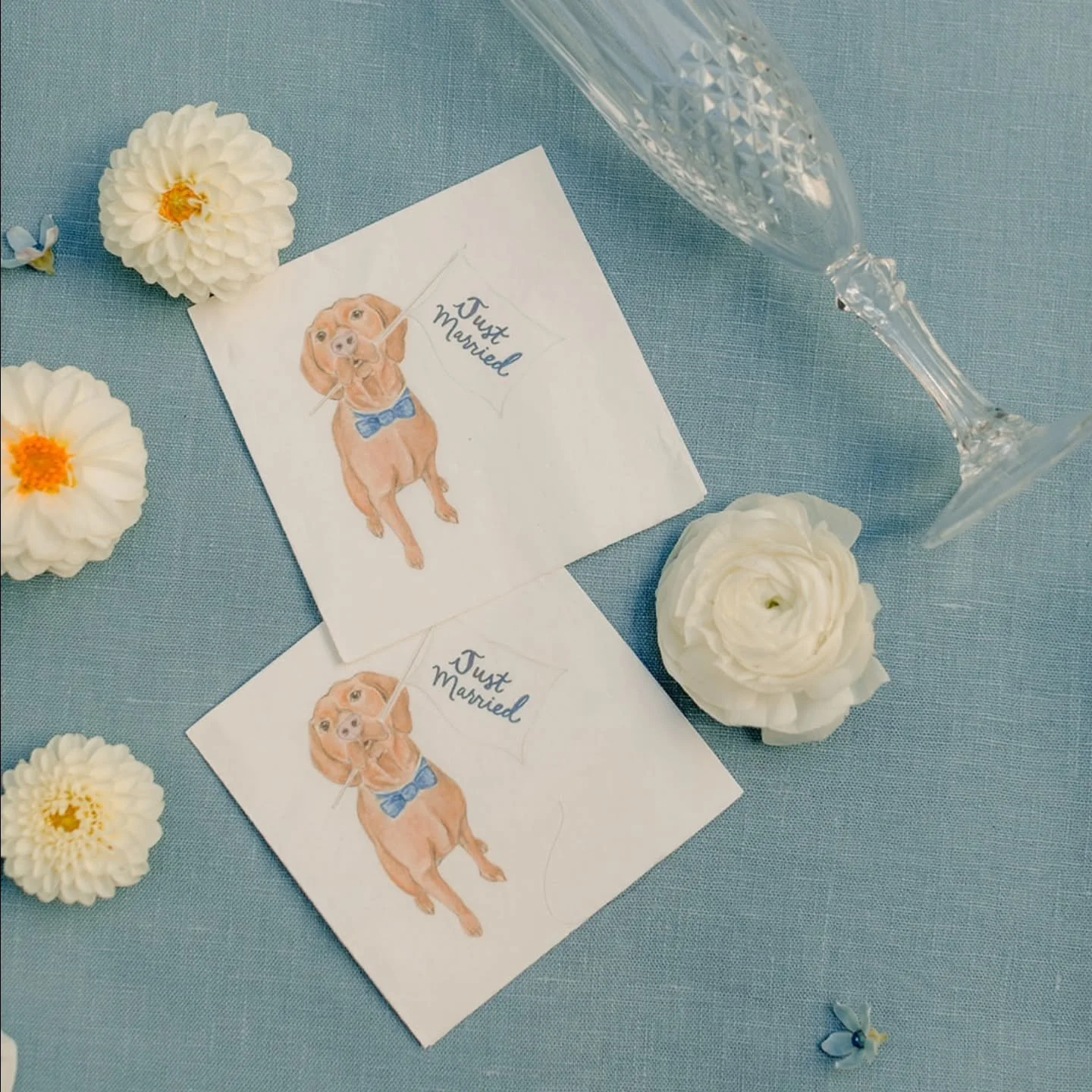 It's center stage for K+S's fancy pup🐕, whose portrait was featured on their wedding invitation reply card and 🍸 napkins.  What a lucky boy to be included in the festivities of their beautiful day!
.
.
Stationery @thepinkpolkadotcapecod
Photography
