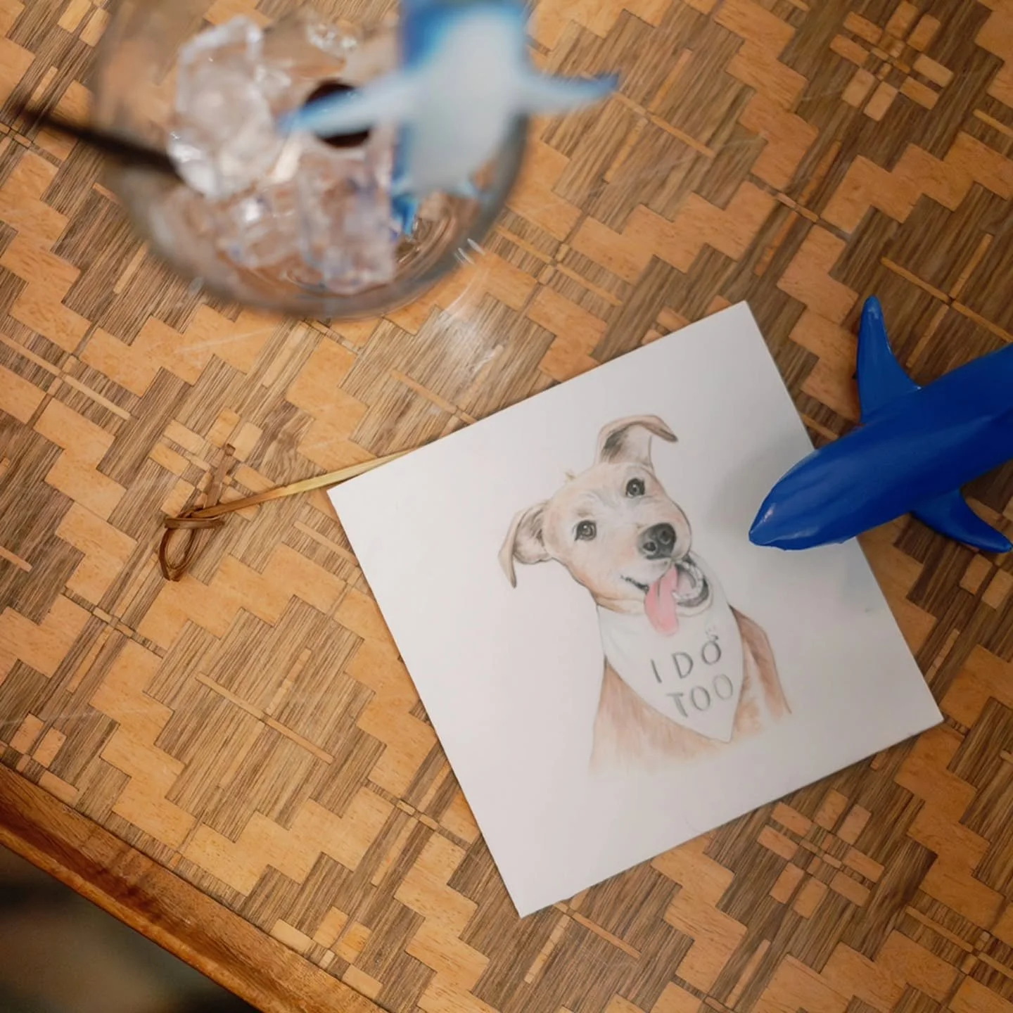 🐕💍Buddy stole the hearts of the guests at Beth + Jim's December wedding at the Chatham Bars Inn...thank you @thepinkpolkadotcapecod for connecting me with this fun couple!🦈
.
.
#petportrait #watercolor #handpainted #customart #weddingart