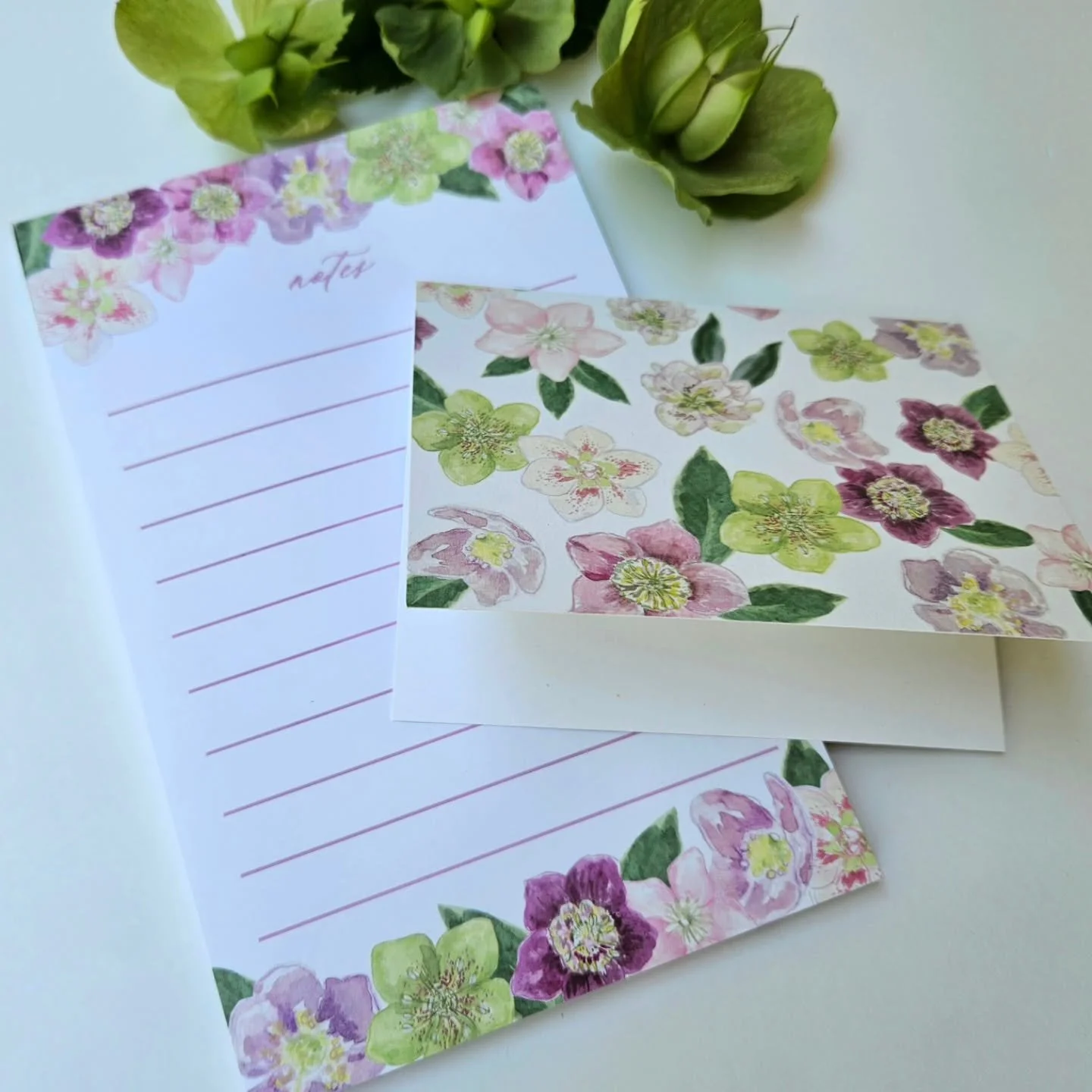 Hellebores ~ the prettiest gems in our yard.🌸
Notepads and boxed blank notes with watercolor flowers are available.
.
.
#hellebore #stationery #watercolorflowers #handpainted #papergoods