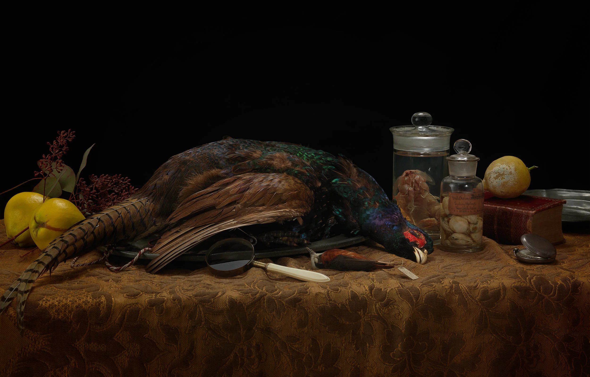 58-vanitas-1.jpg