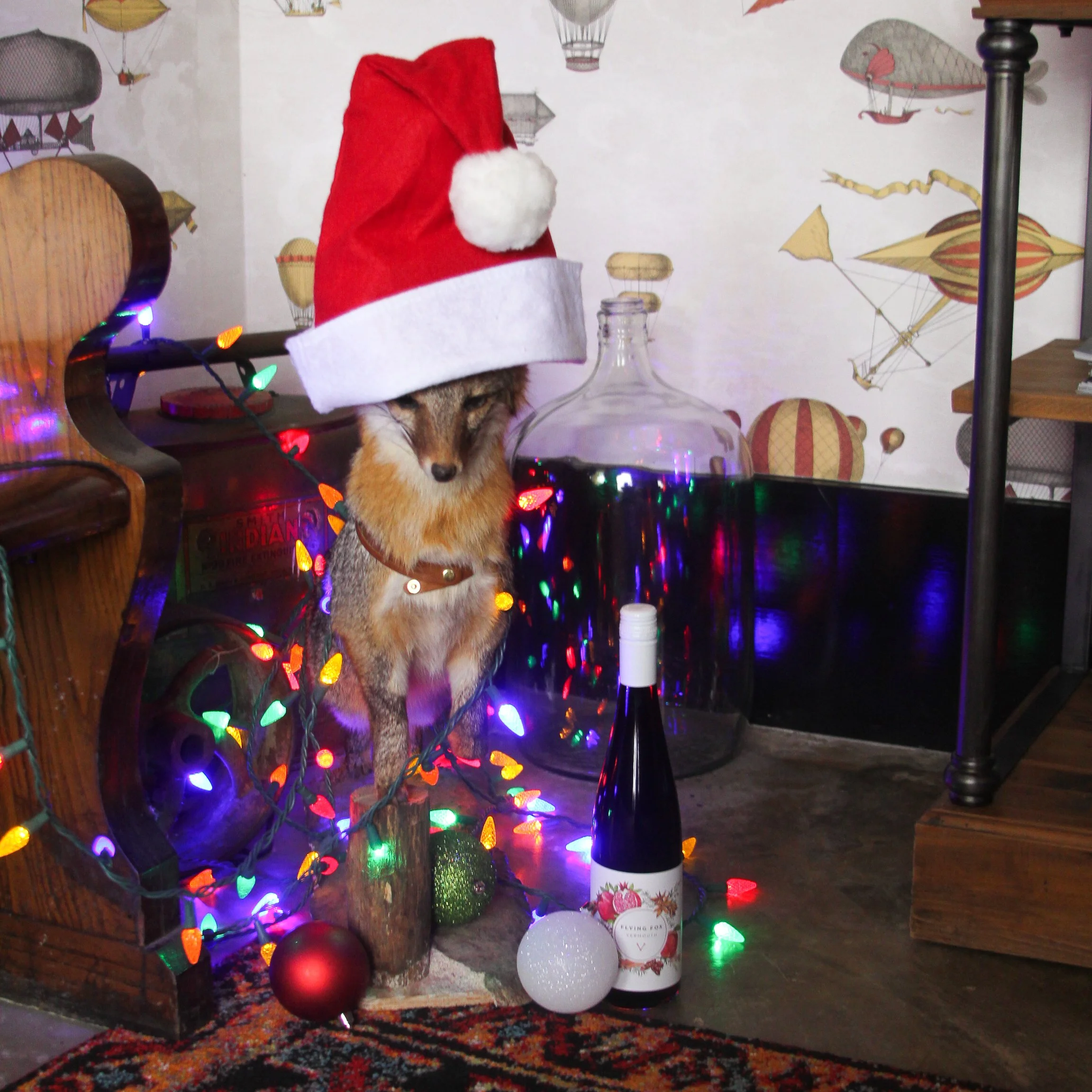 ffx christmas vacation IMG_0060 credit Flying Fox.jpg