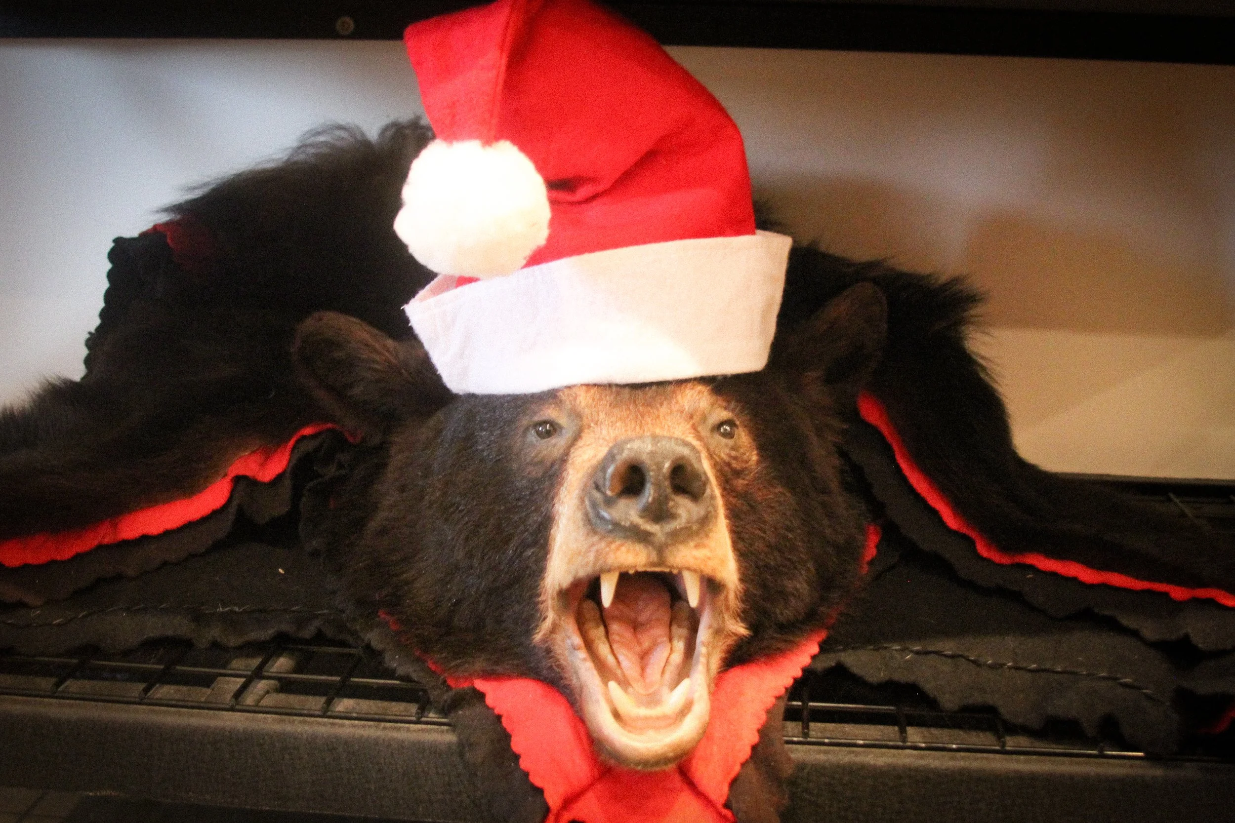 ffx christmas vacation IMG_0074 credit Flying Fox.jpg