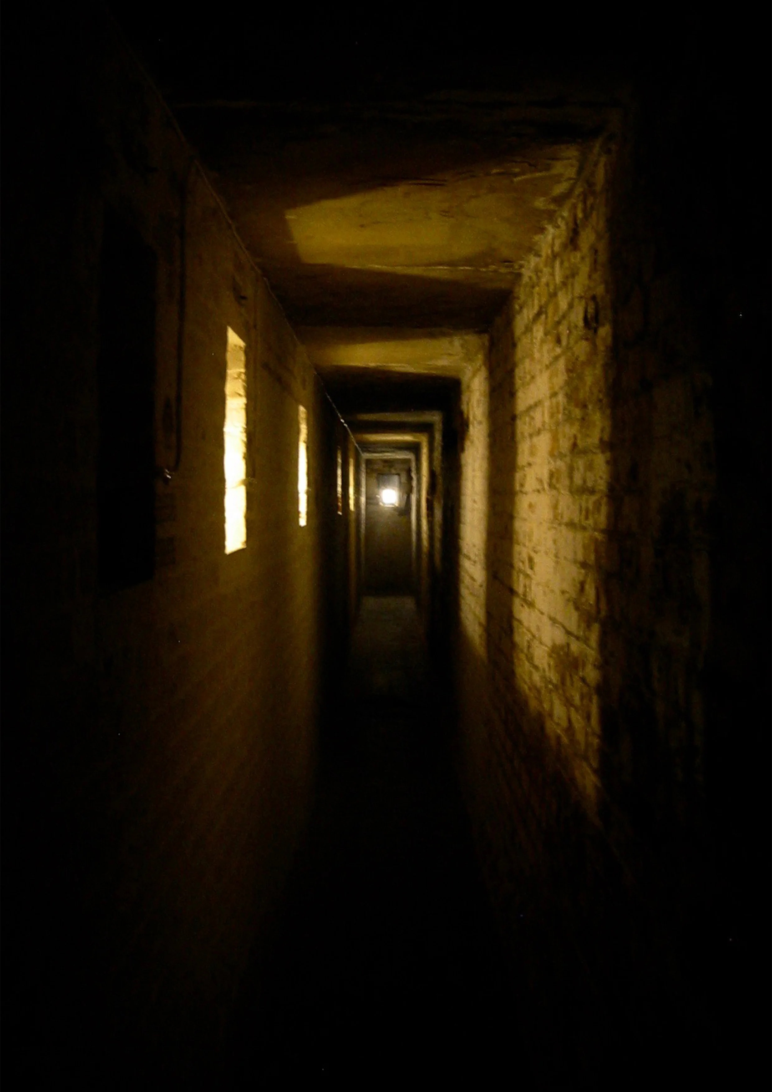 FORT image PP.jpg