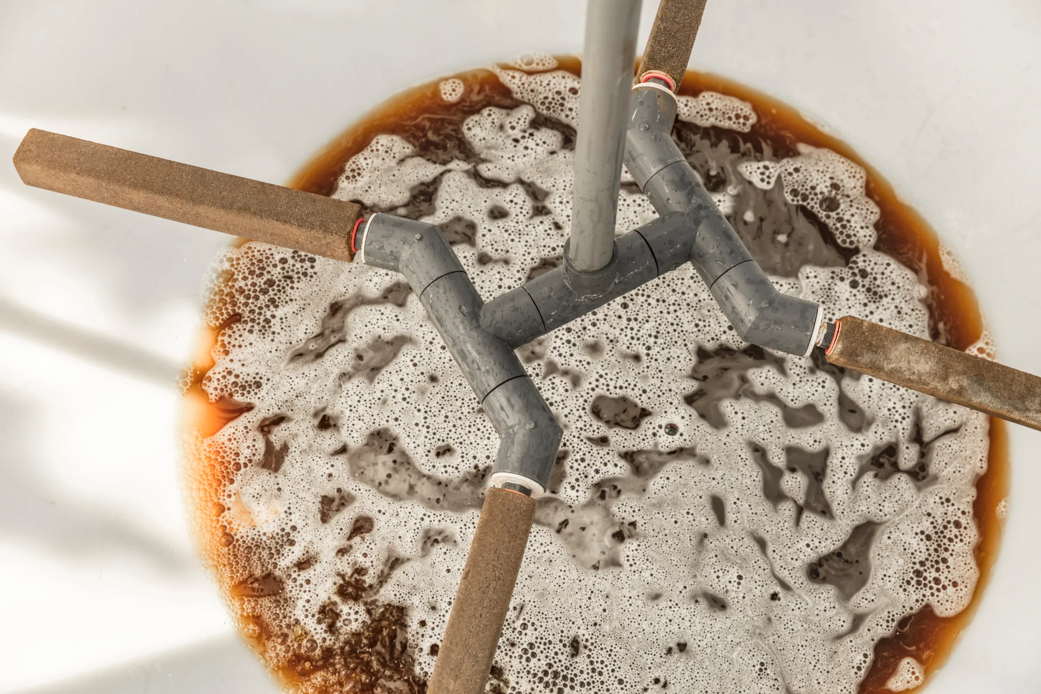 Cultivating Terpene-Rich Medicinal Herbs: Good For You, Good For The Environment