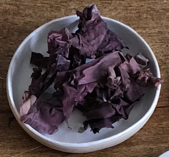 alga_dulse.jpg
