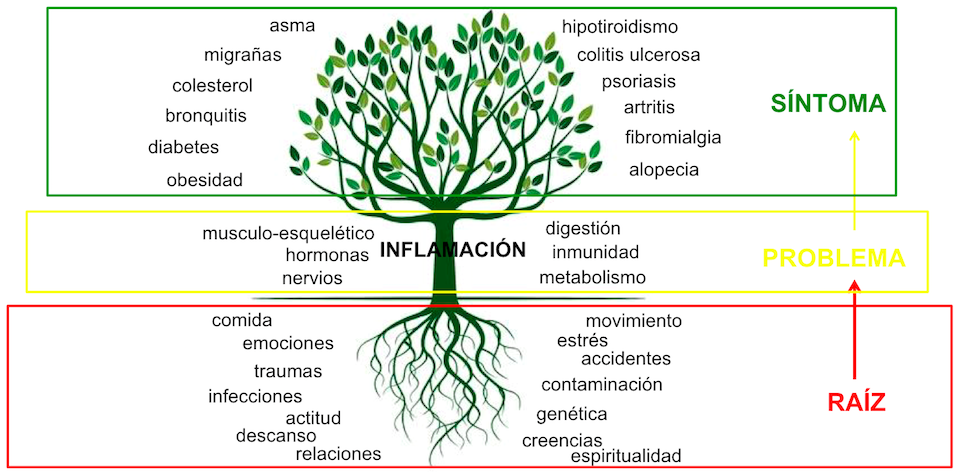 arbol medicina integrativa, functional medicine