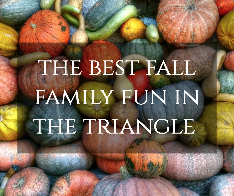 fall family fun post.jpg