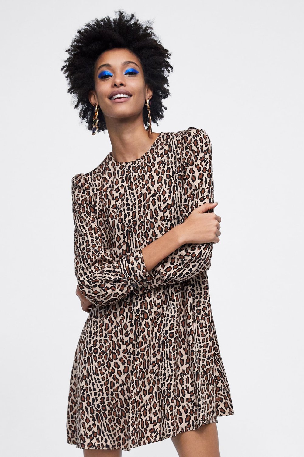 Zara: Animal Print Dress