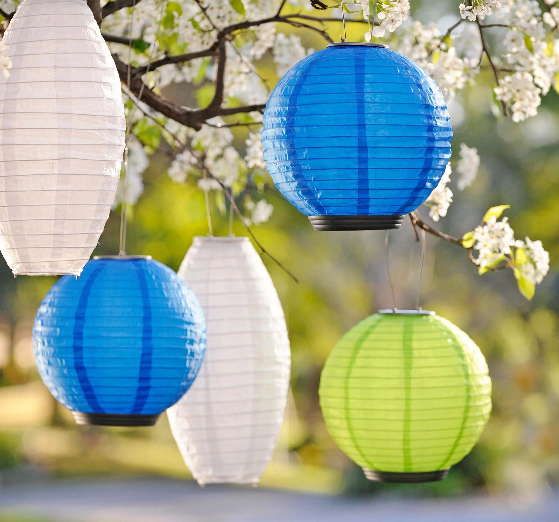 solar_laterns_tree_cover_017.jpg