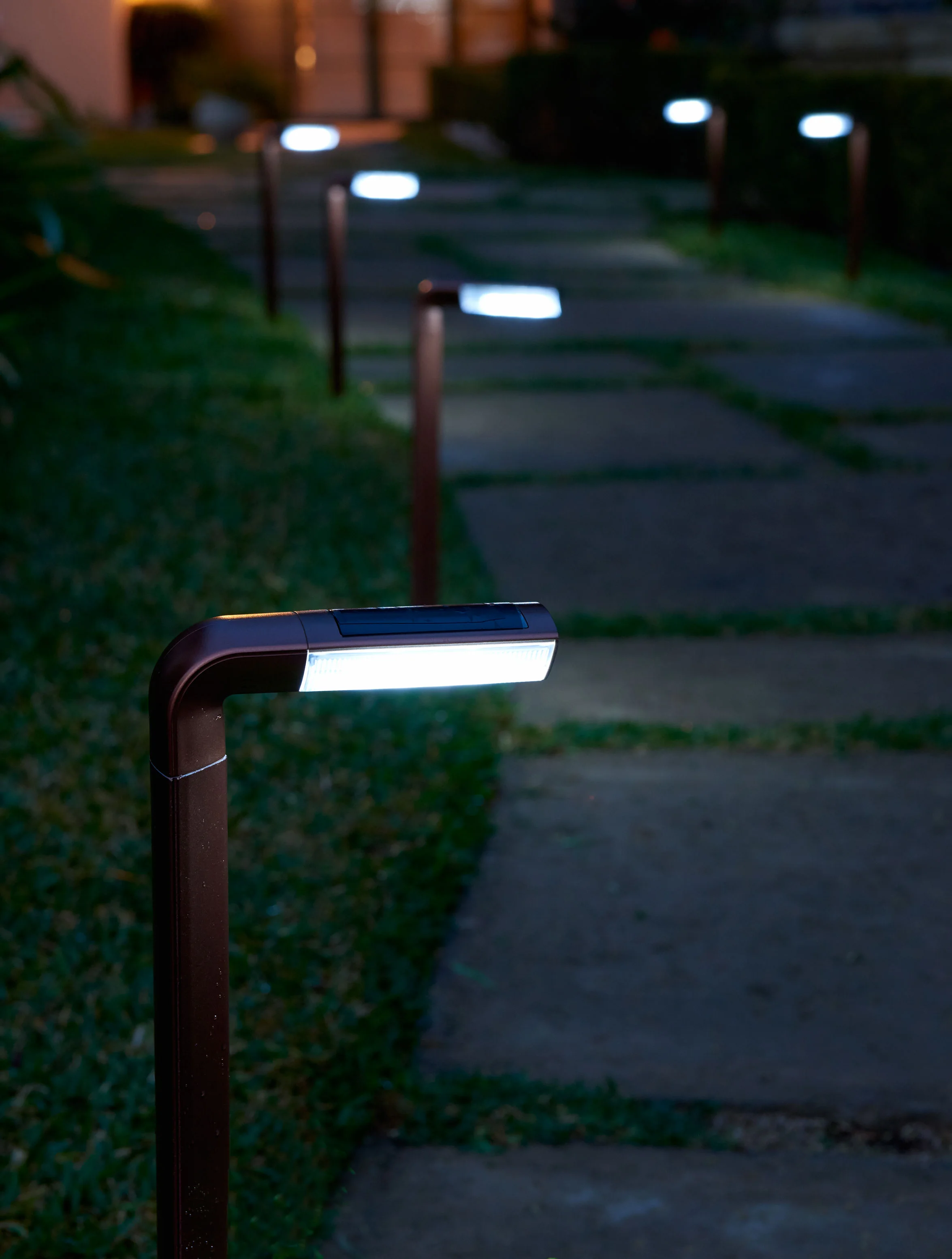 solar_driveway_lights-0711.jpg