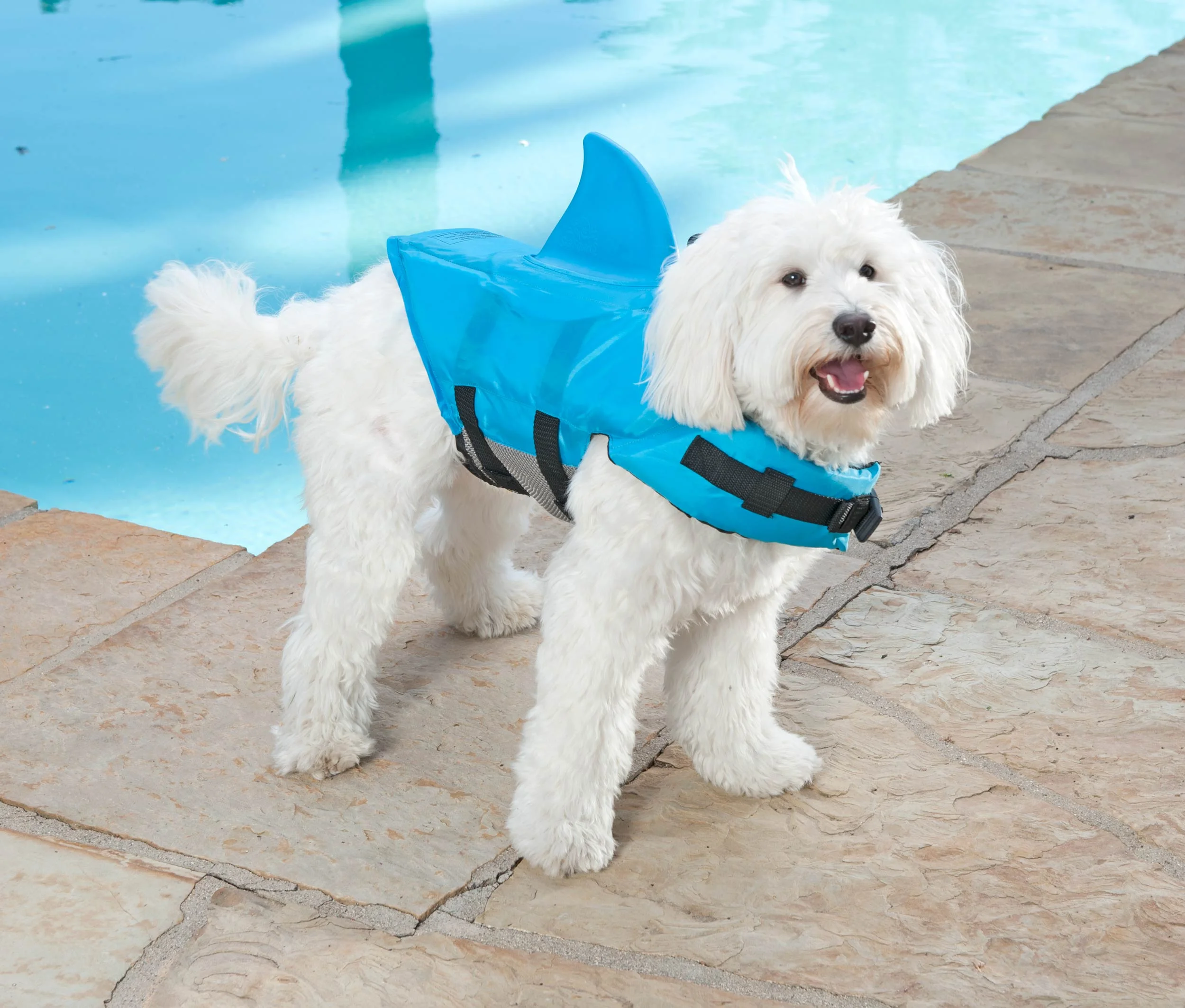 shark_vest_1328.jpg