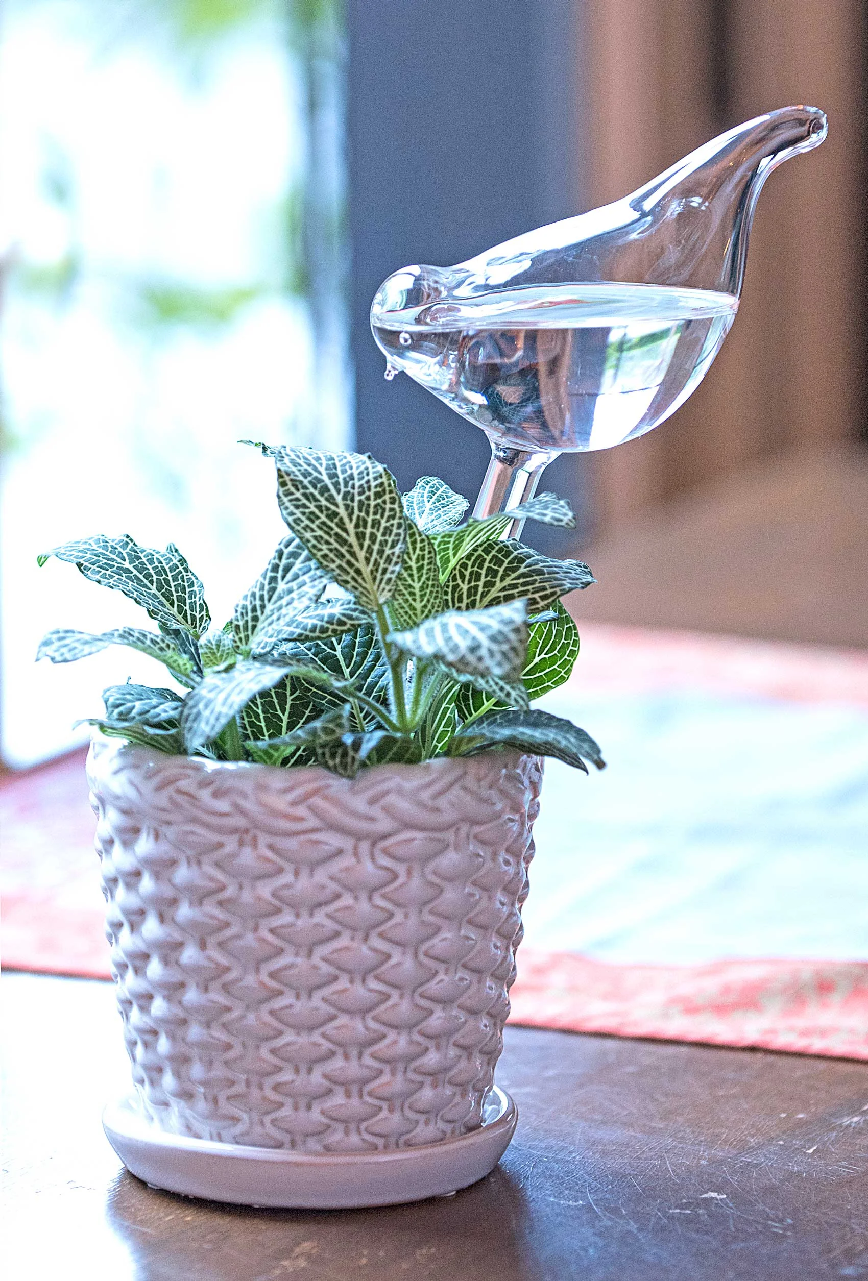 bird_waterer-500.jpg