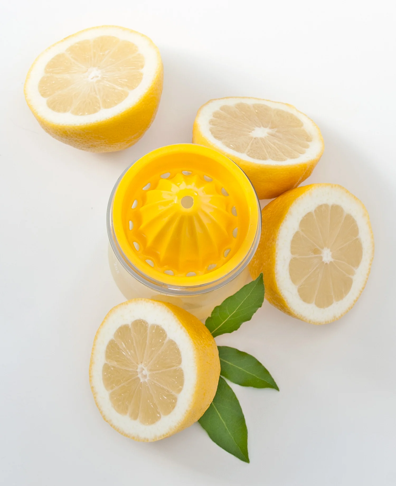 p5_cleaning_kit_lemons.jpg