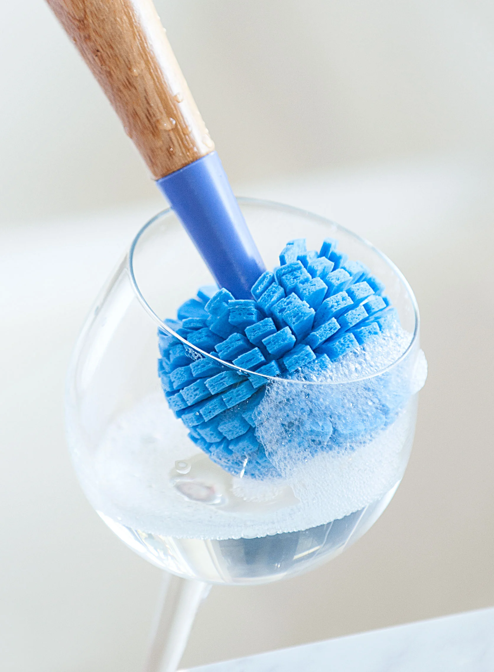 p5_glass_cleaning_brush.jpg