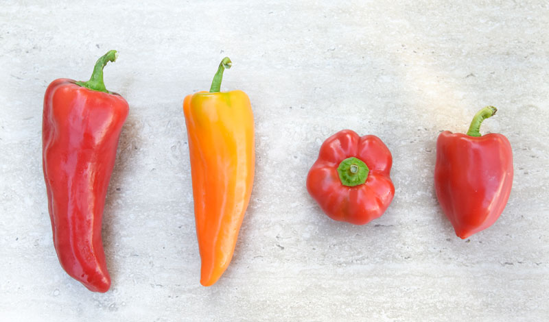 GA_Peppers_Individuals.jpg