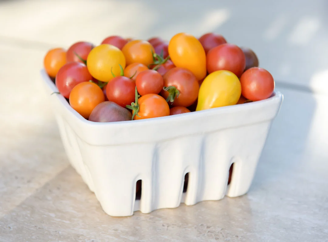 NE_Ceramic_Basket_Tomatoes_Large.jpg