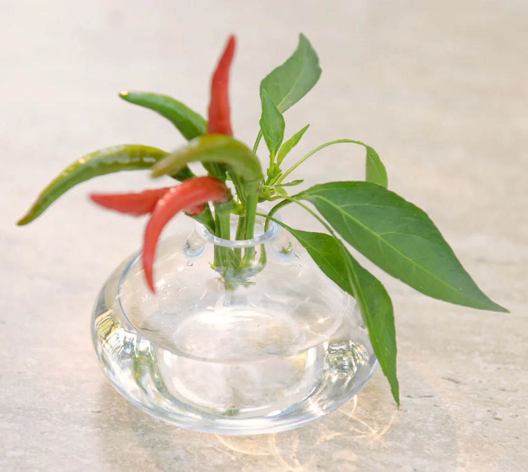 NE_Vases_Peppers.jpg
