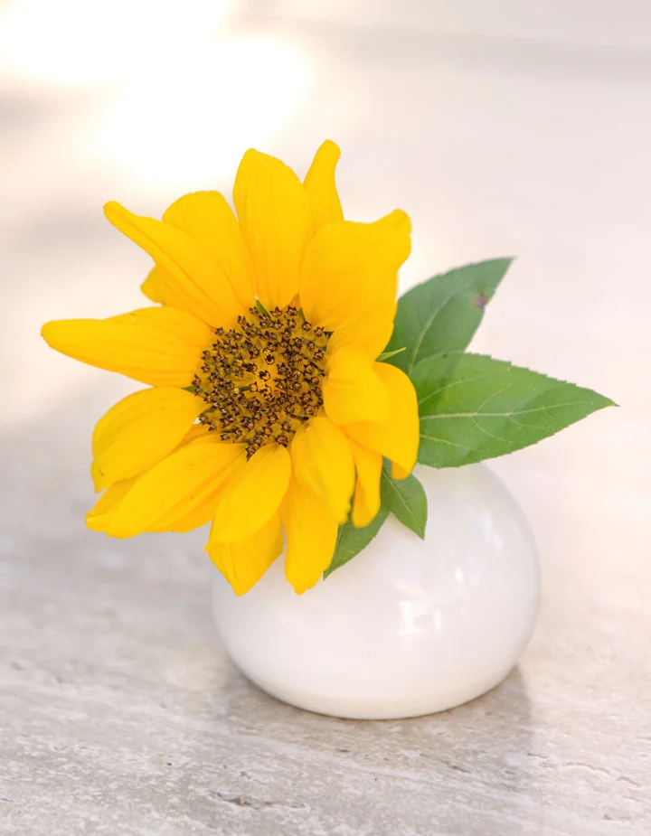 NE_Vases_Sunflower.jpg
