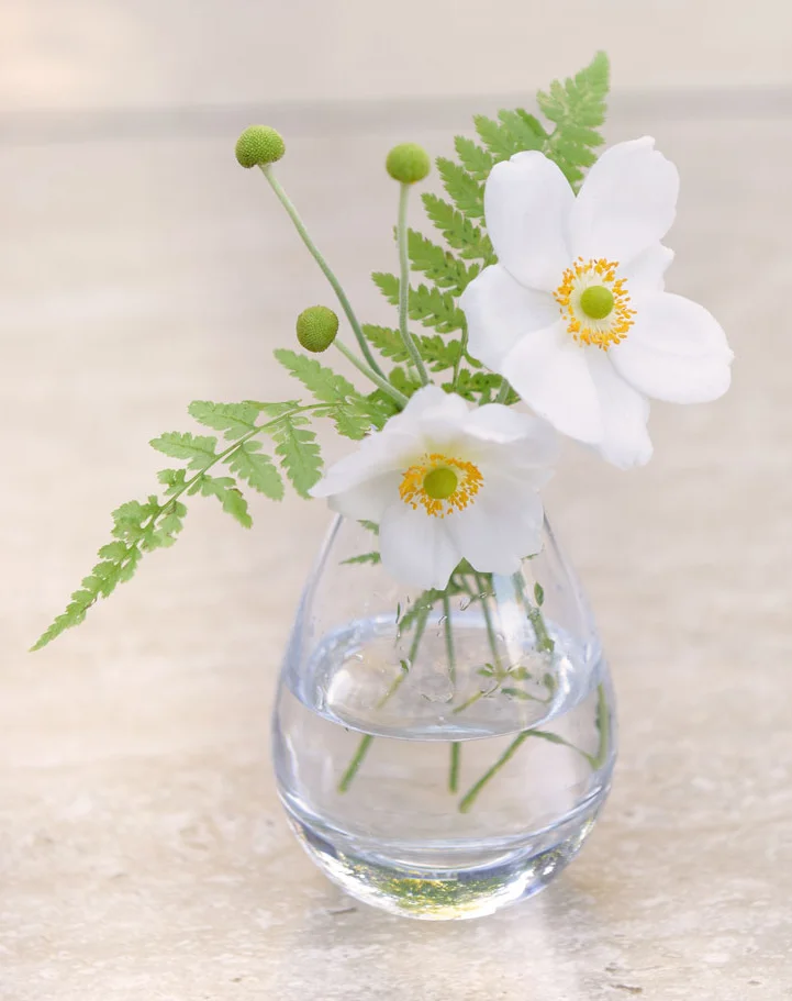 NE_Vases-Anemones.jpg