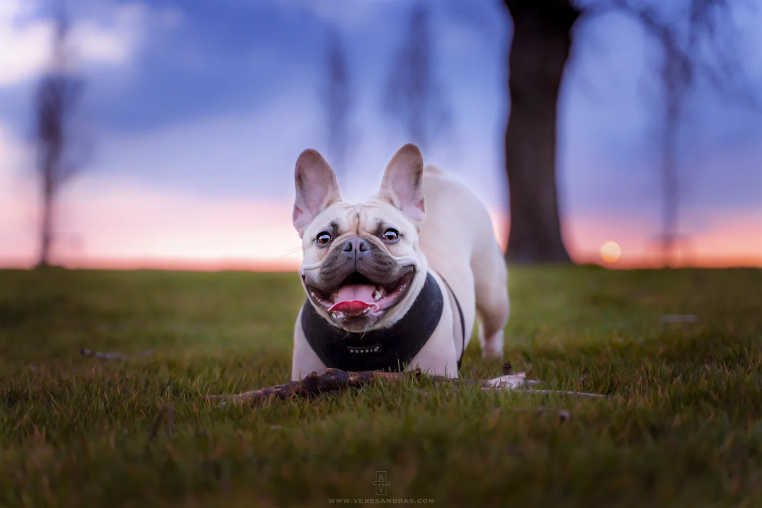 _DSC0045_web.jpg