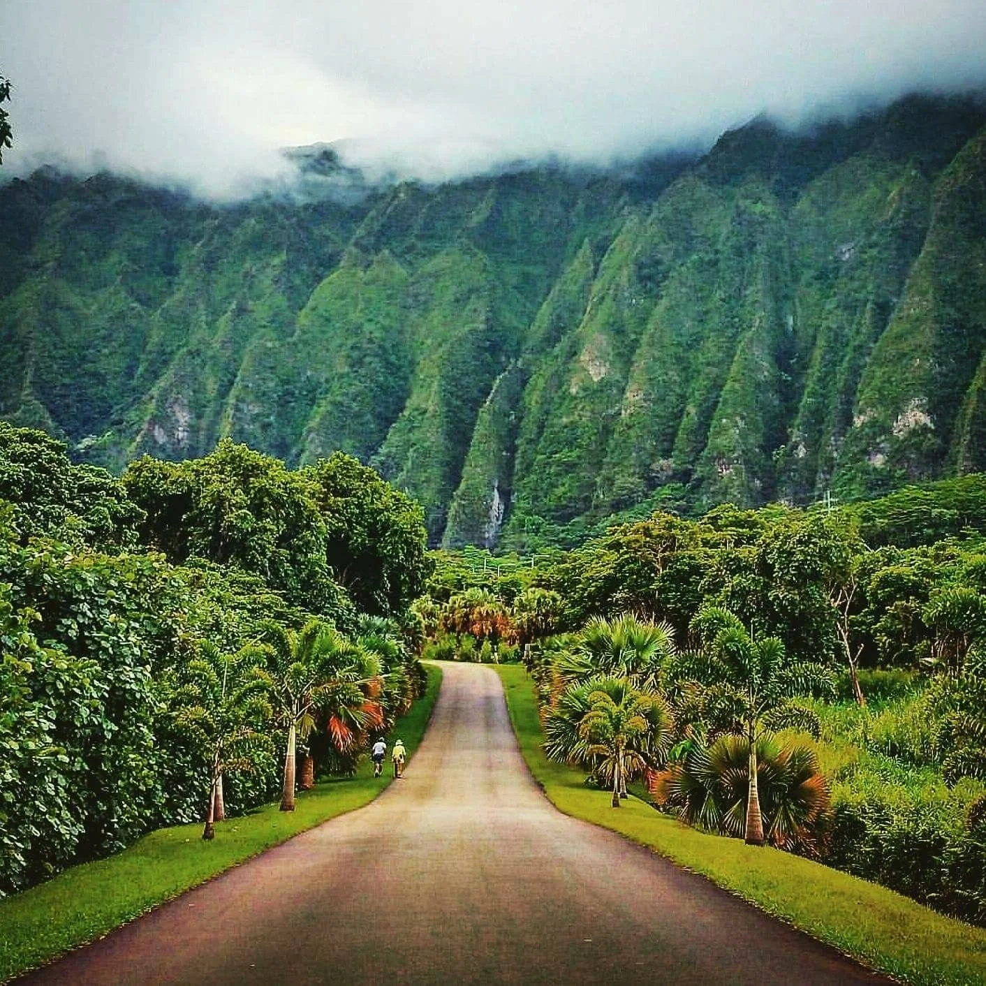 LUGARES QUE DEBES VISITAR SI VIAJAS A HAWAII