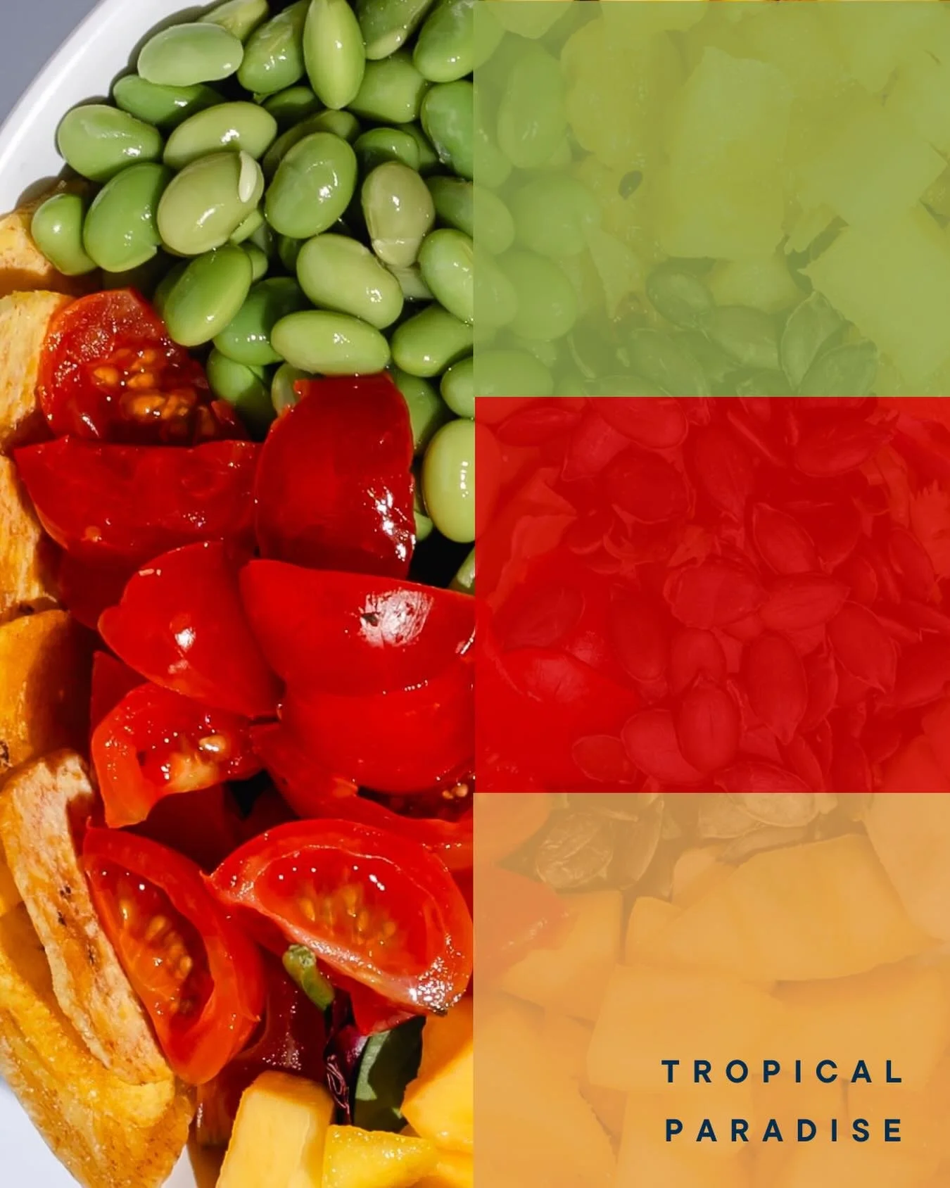 Nuestra Tropical Paradise para estos d&iacute;as de sol 🥗🫶🏼