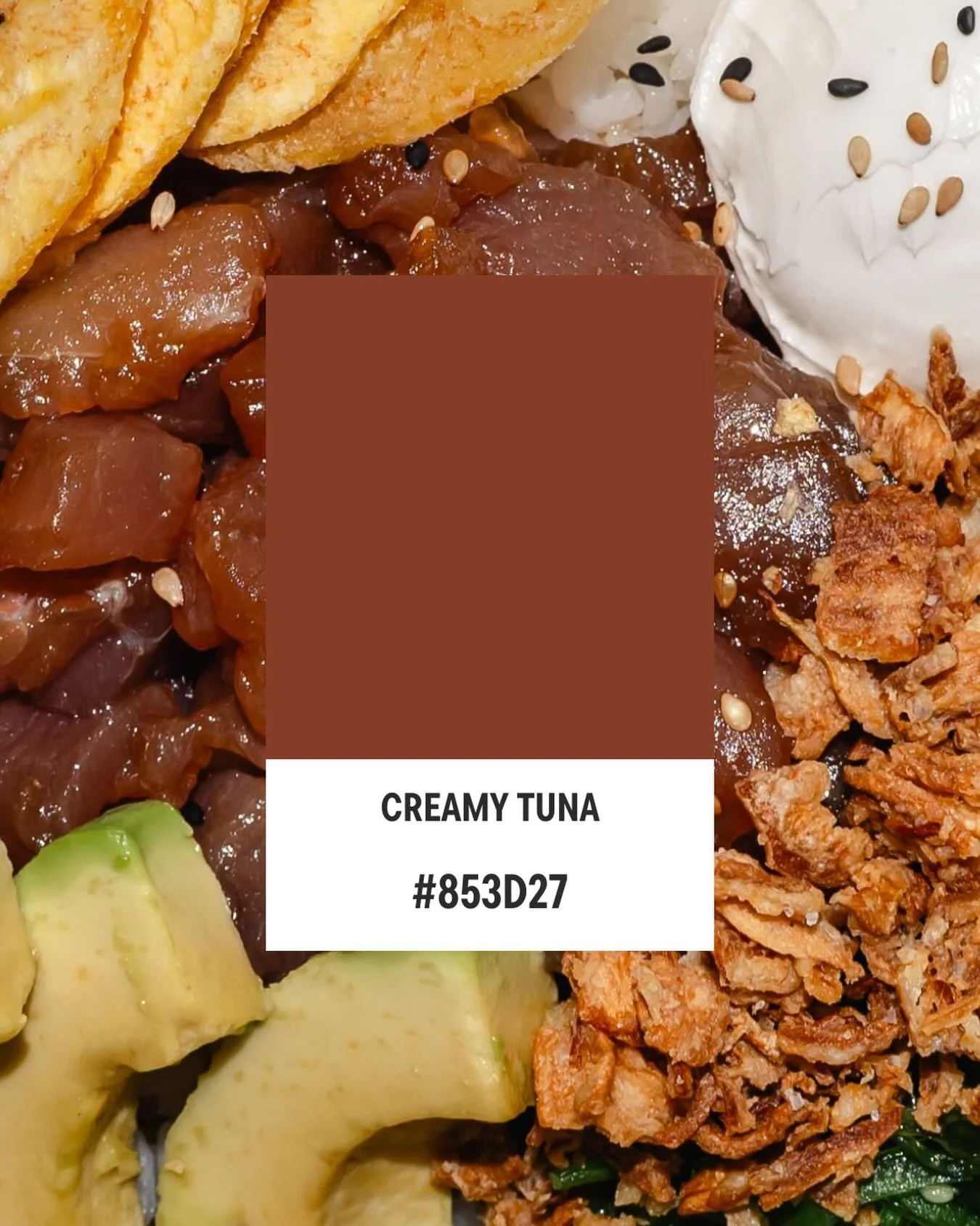 Pantone de nuestro Creamy Tuna 🍣🤎