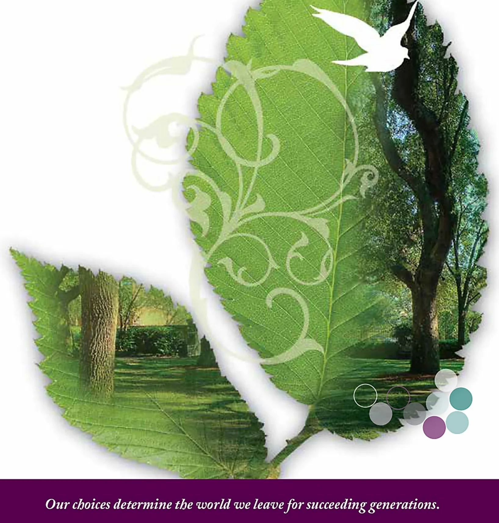 Paper Selector Guide