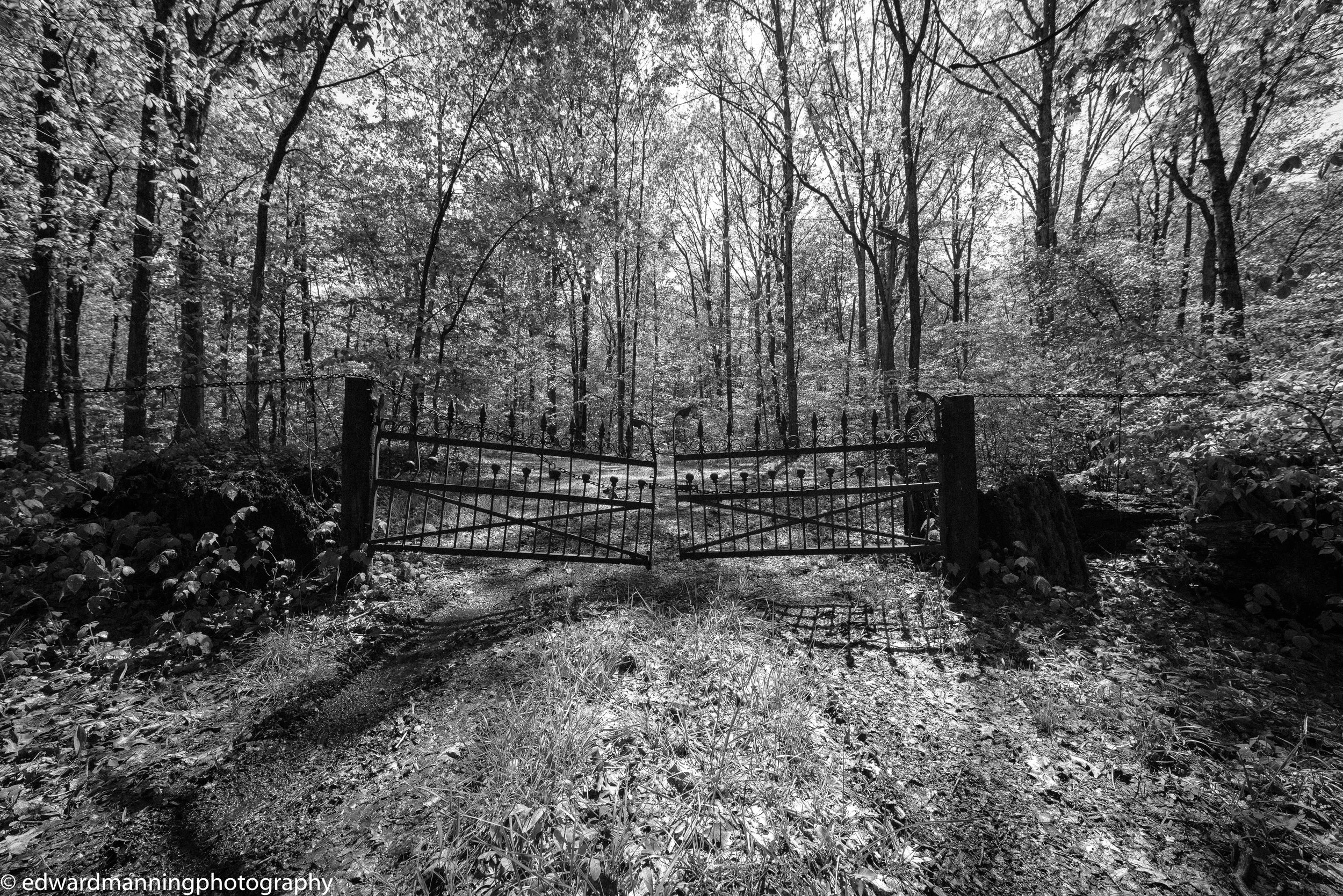 Gateway to the Past