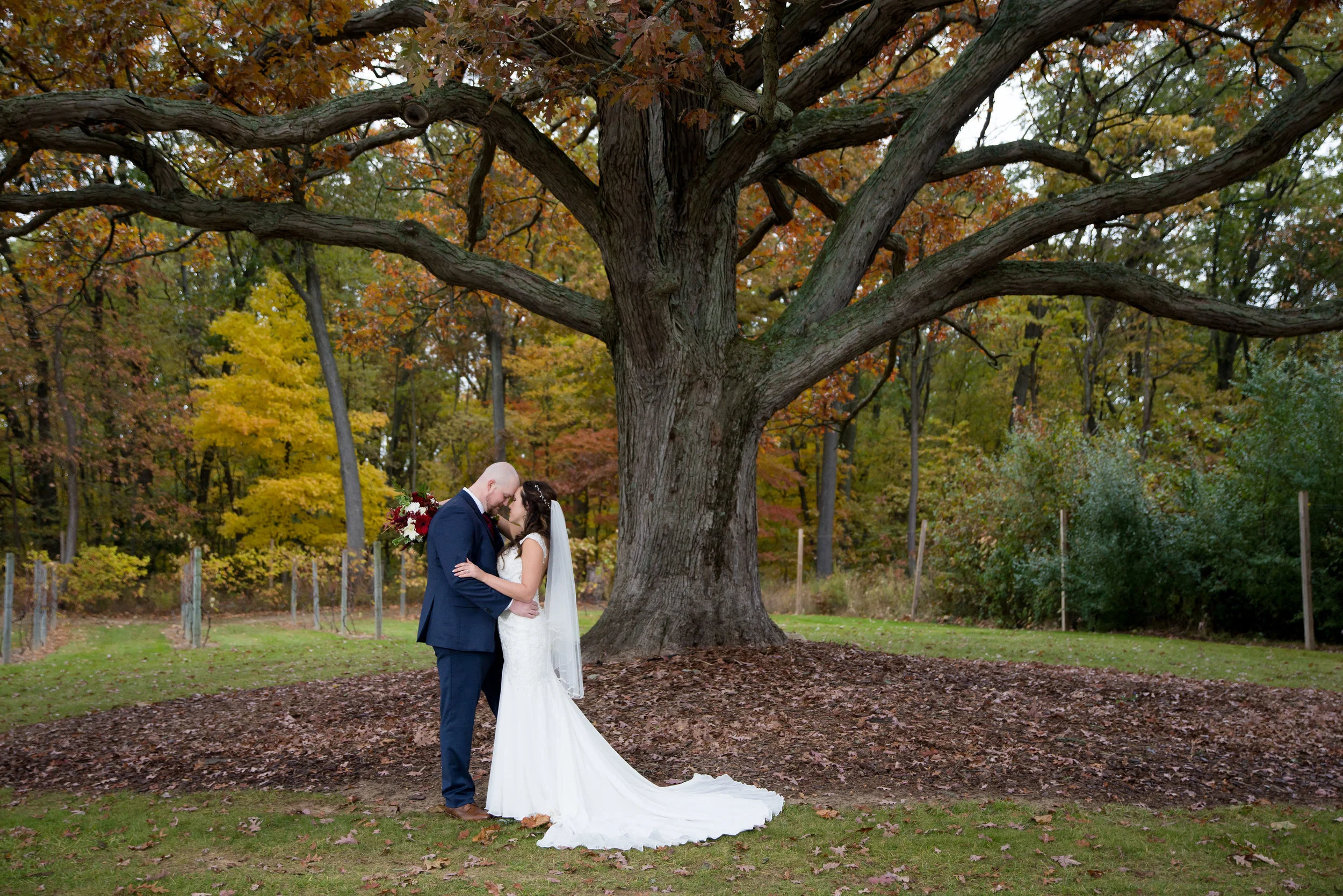 The most perfect oak tree on Black Barn’s property served as the backdrop for their couple portraits.