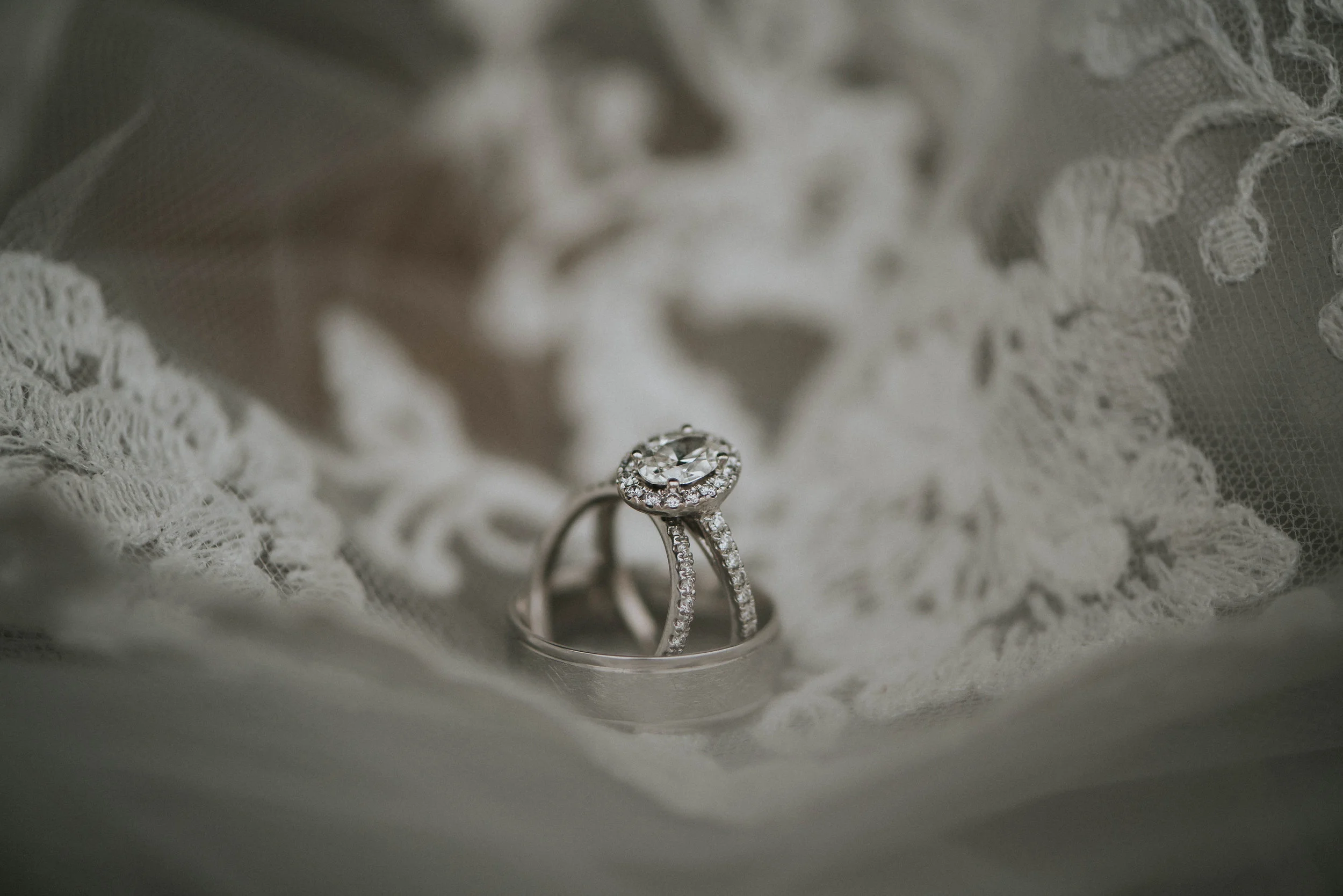 rings.jpg