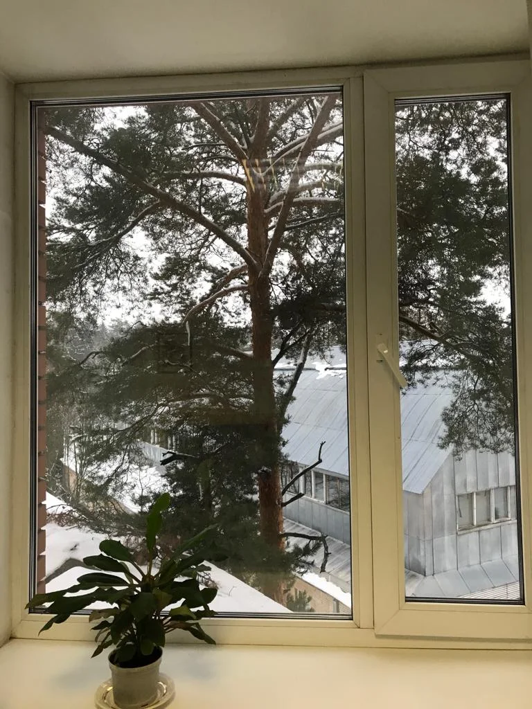 9f4d8ccd-ede6-405d-b56a-6905ac57de59.jpg