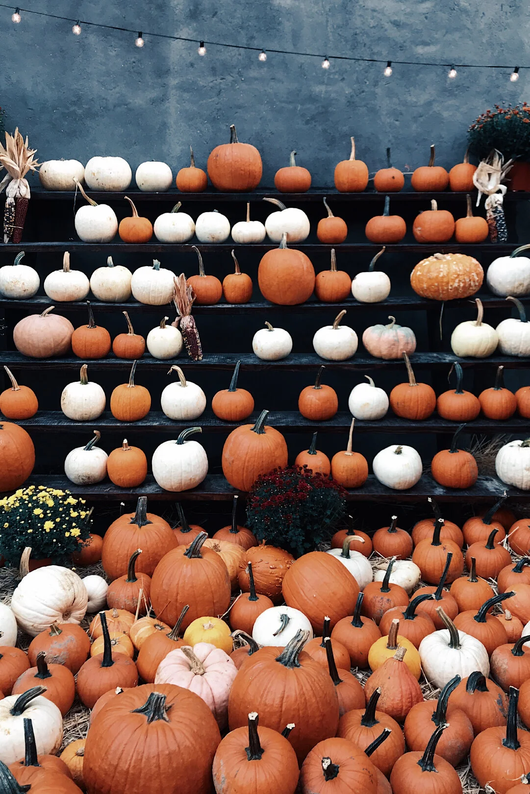 Halloween Wedding Inspiration