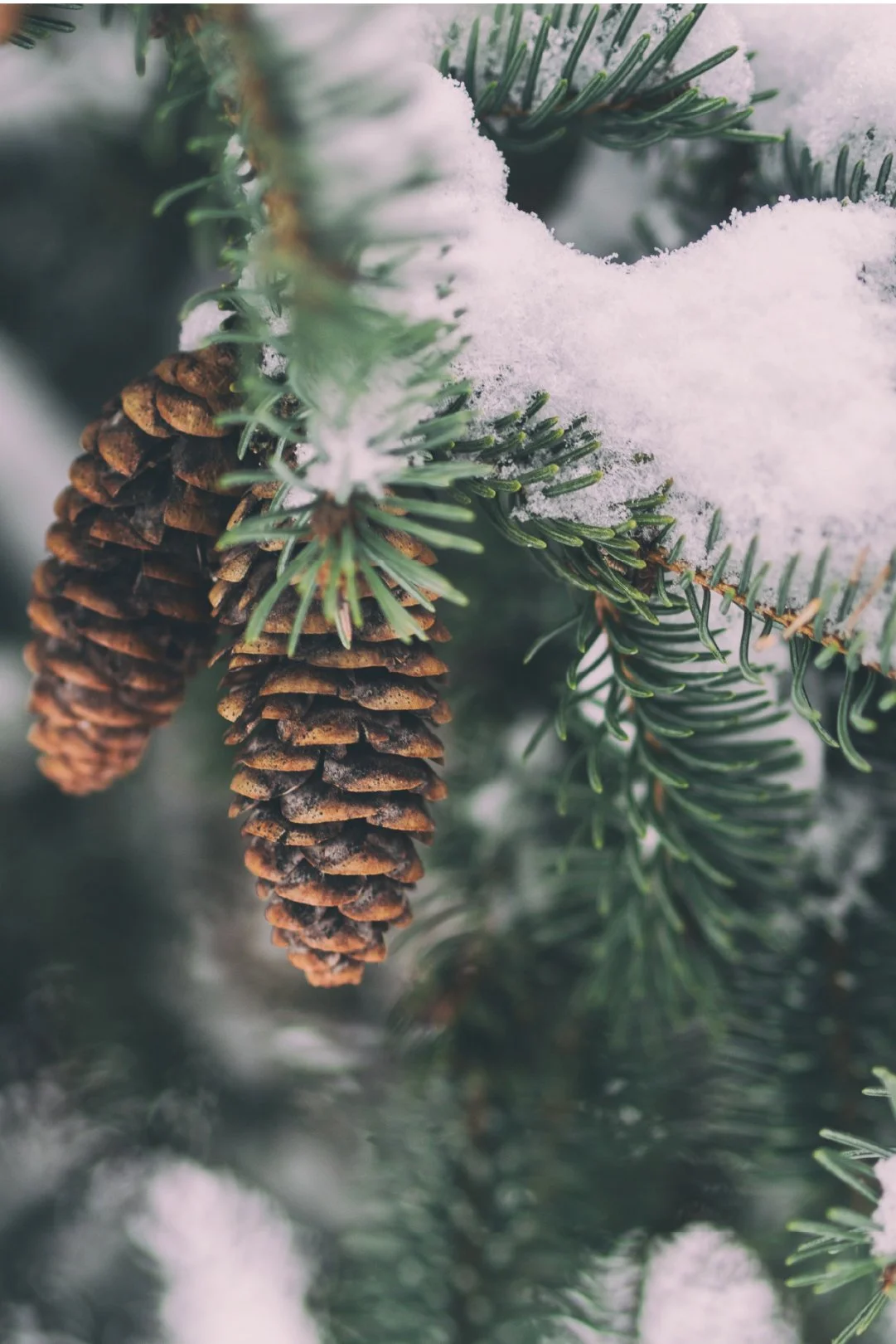 Winter Wedding Favors that Wow