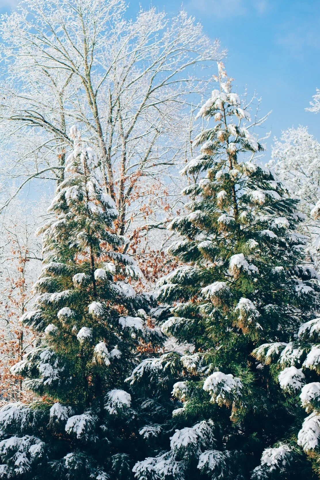 Pros and Cons of Having a Winter Wedding
