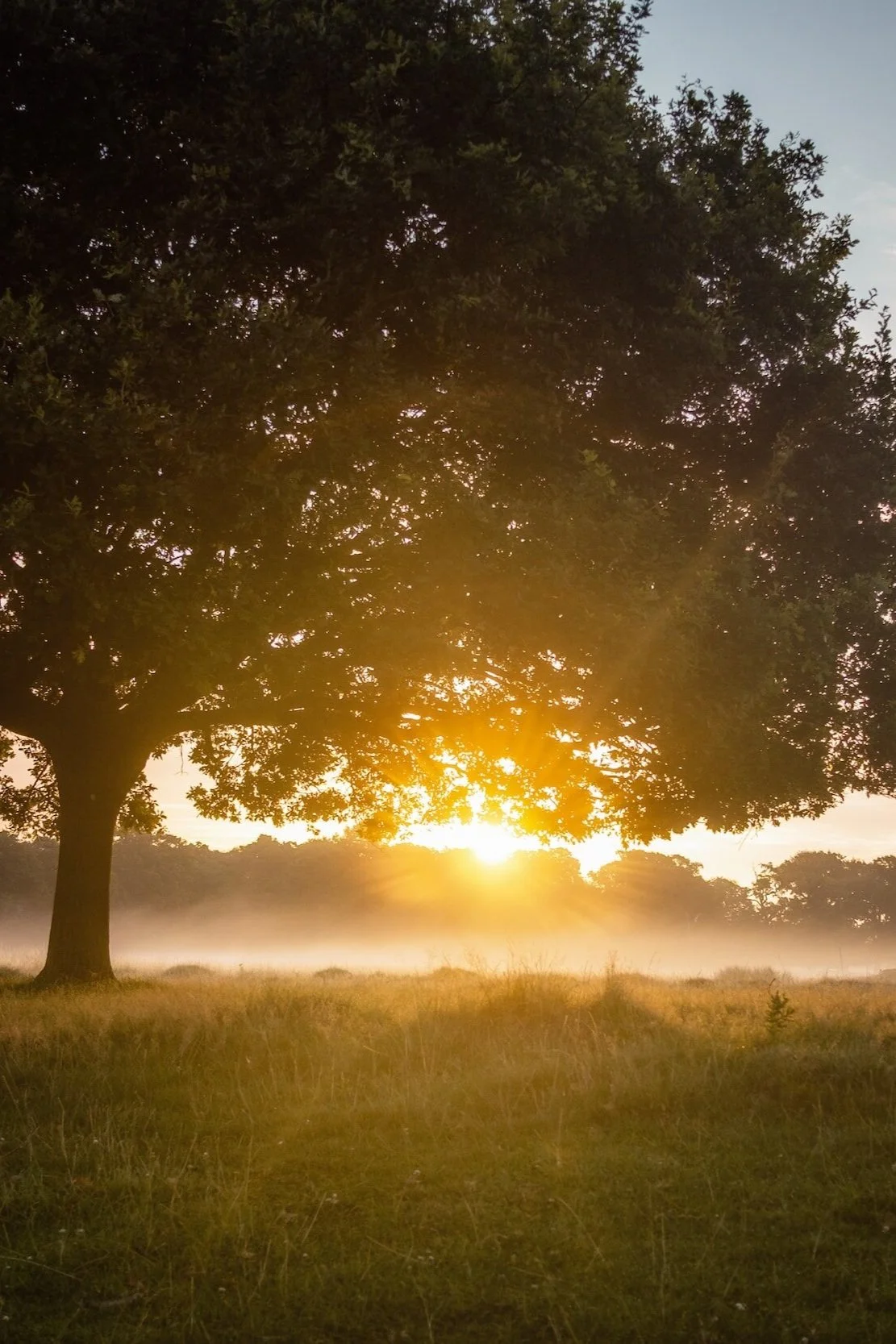 The Charm of Morning Weddings in Michigan