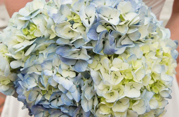 BLUE.jpg