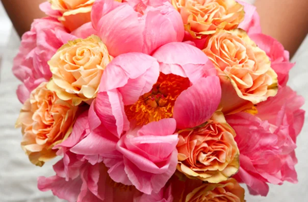 PINK.jpg