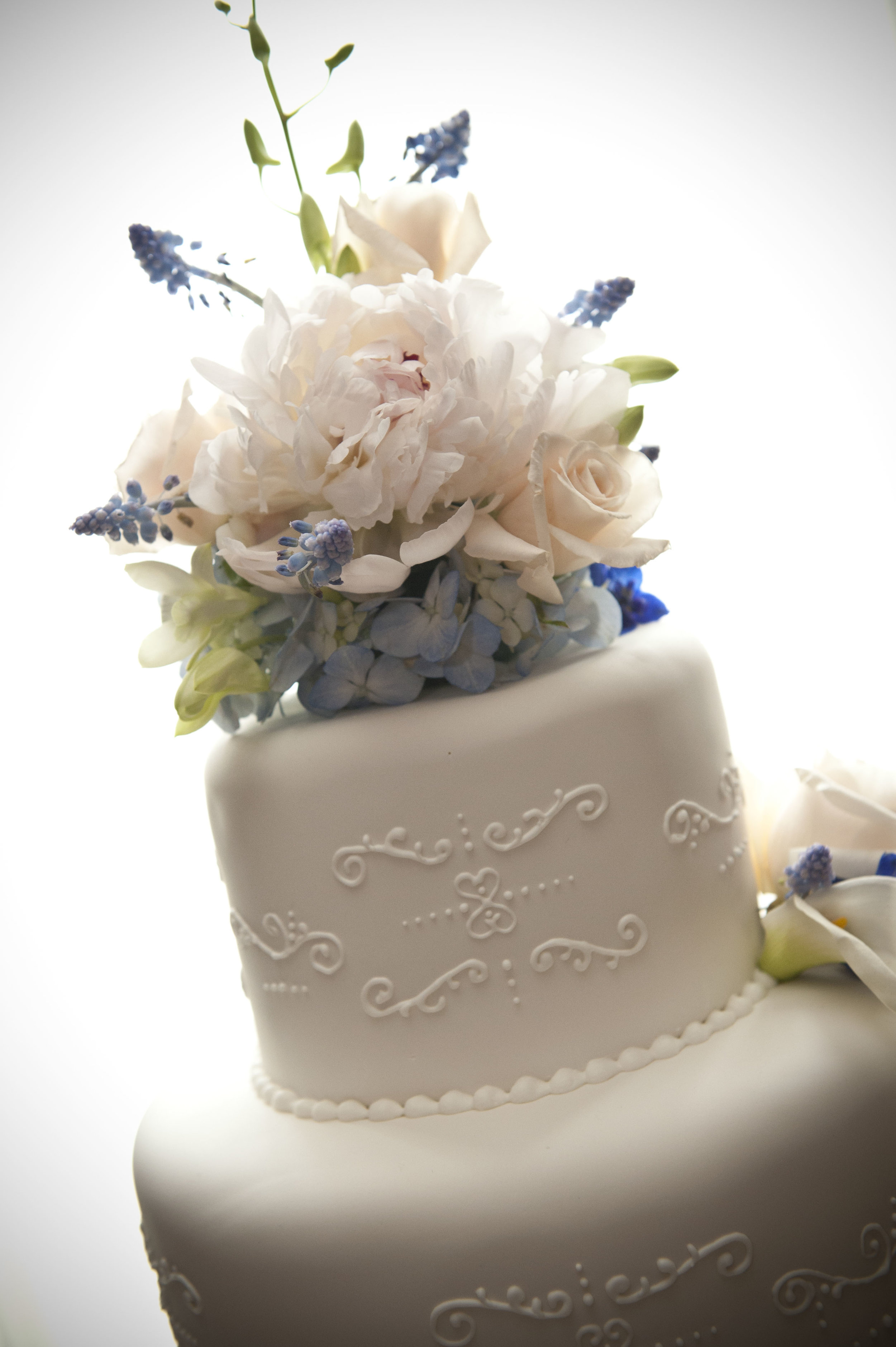blue and white cake.jpg